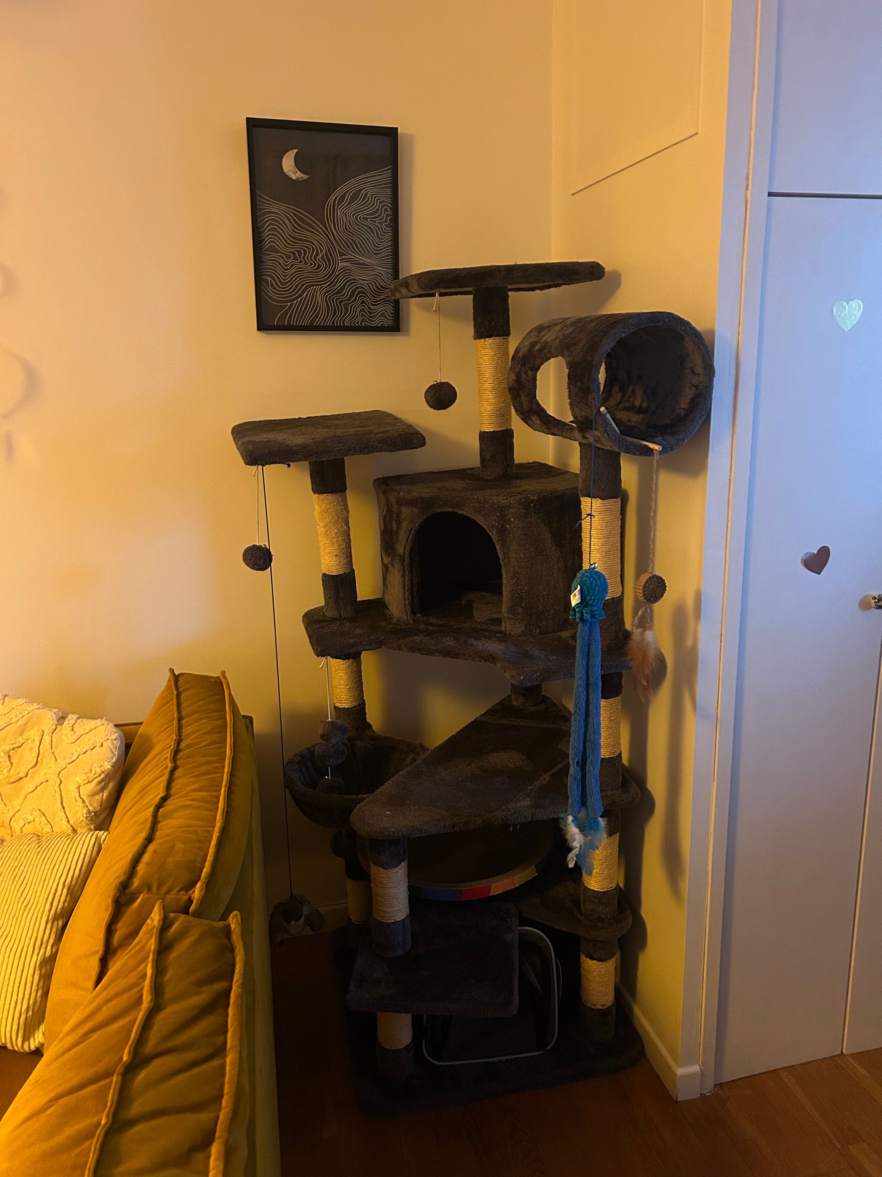 image-19