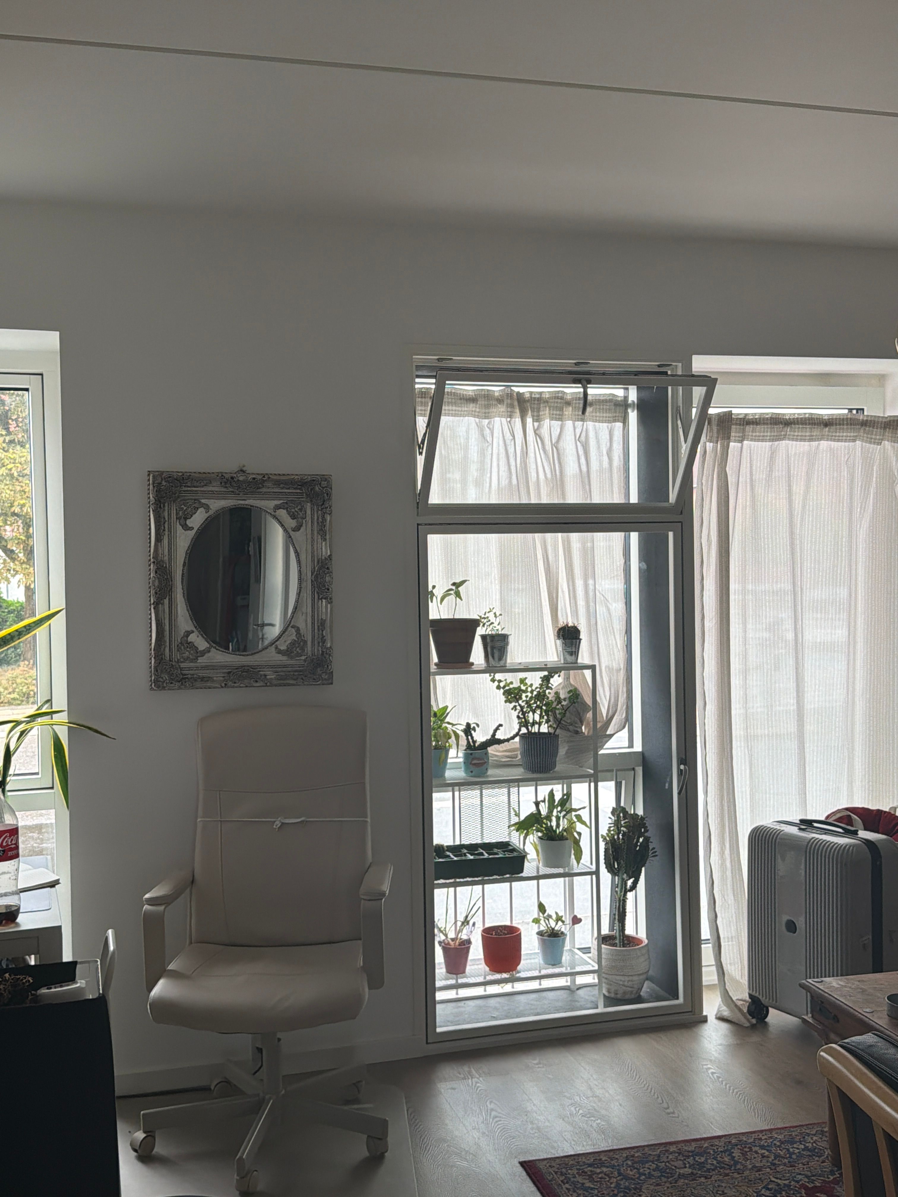 image-17