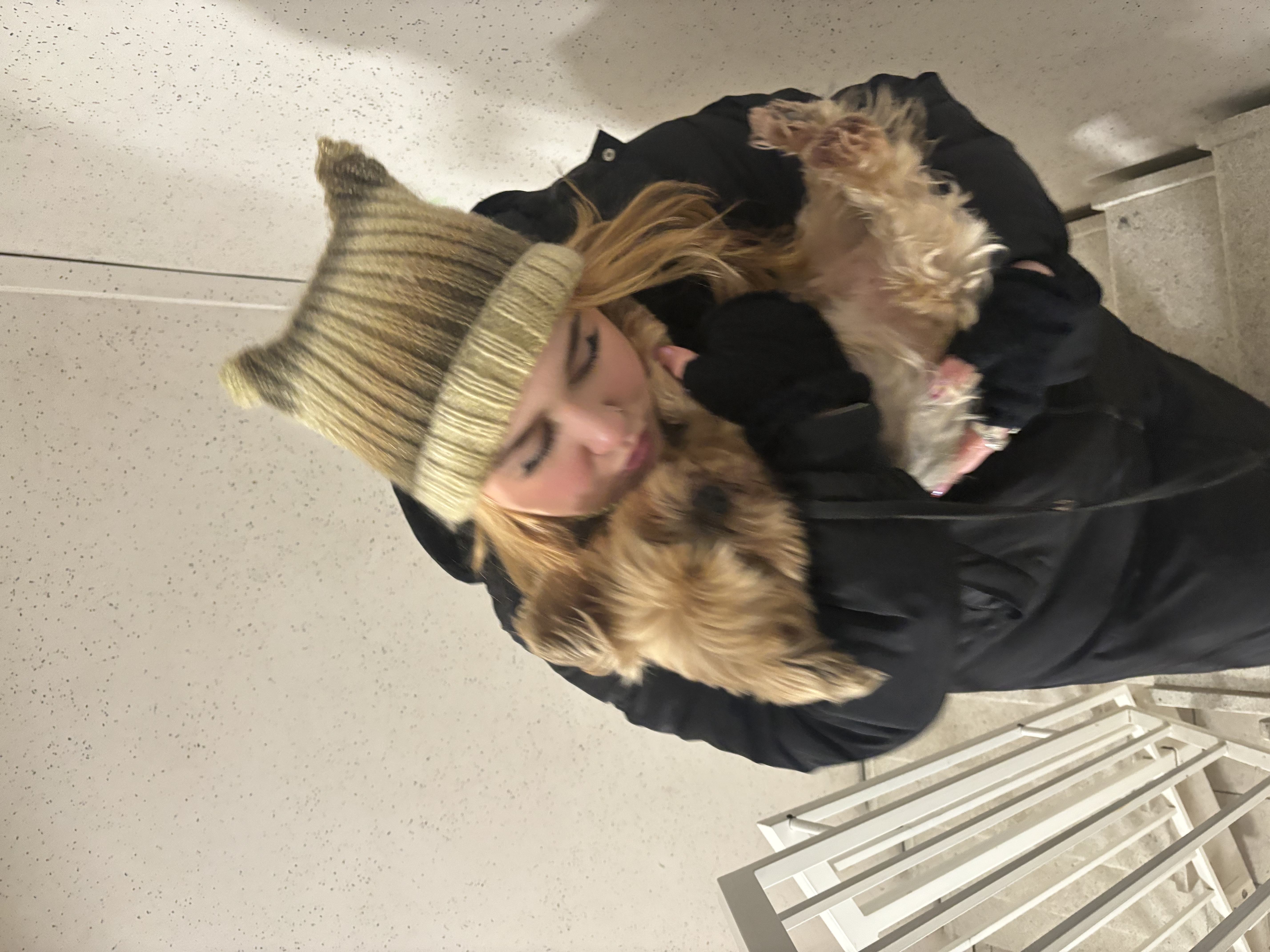 image-7