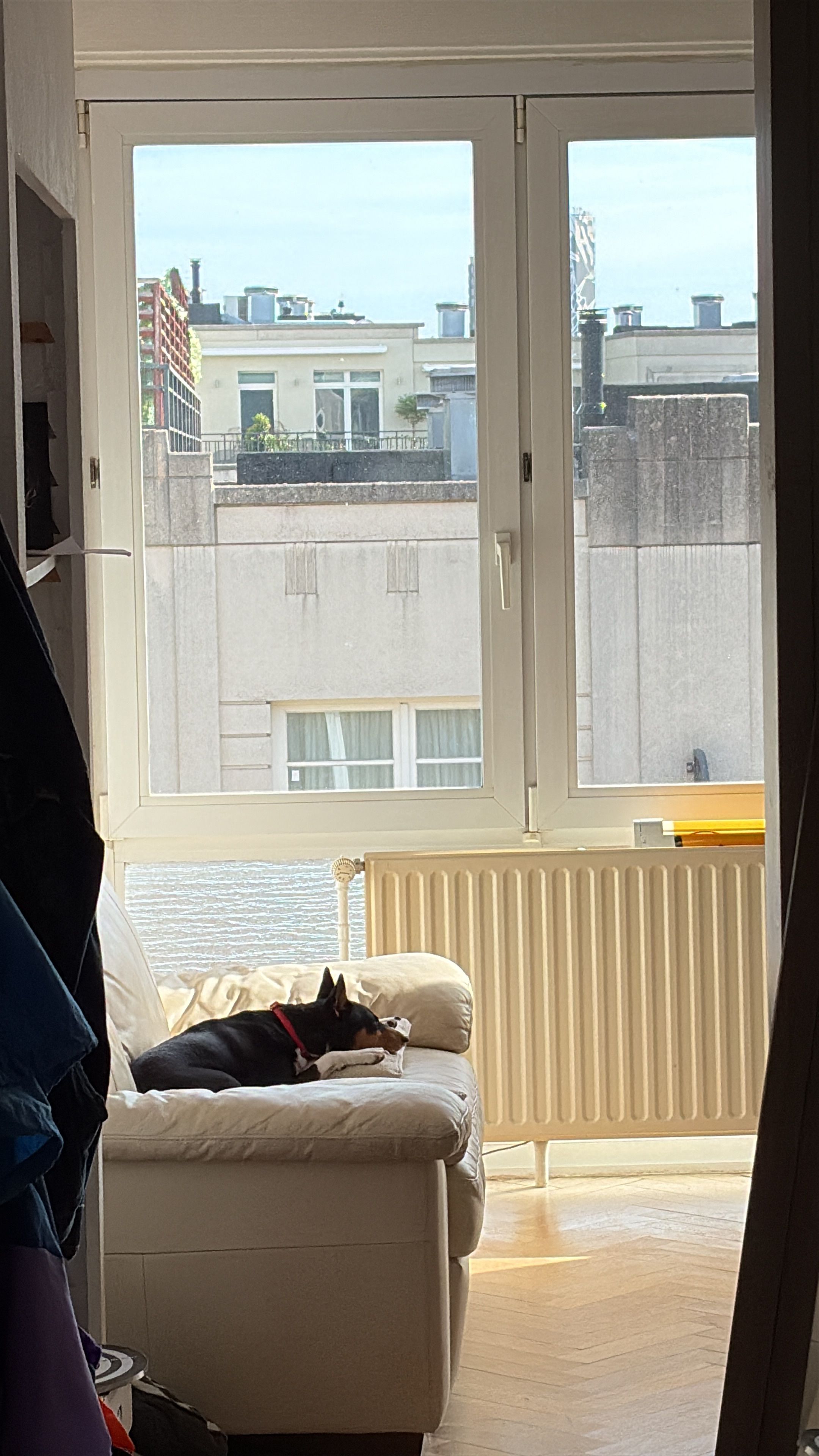image-9