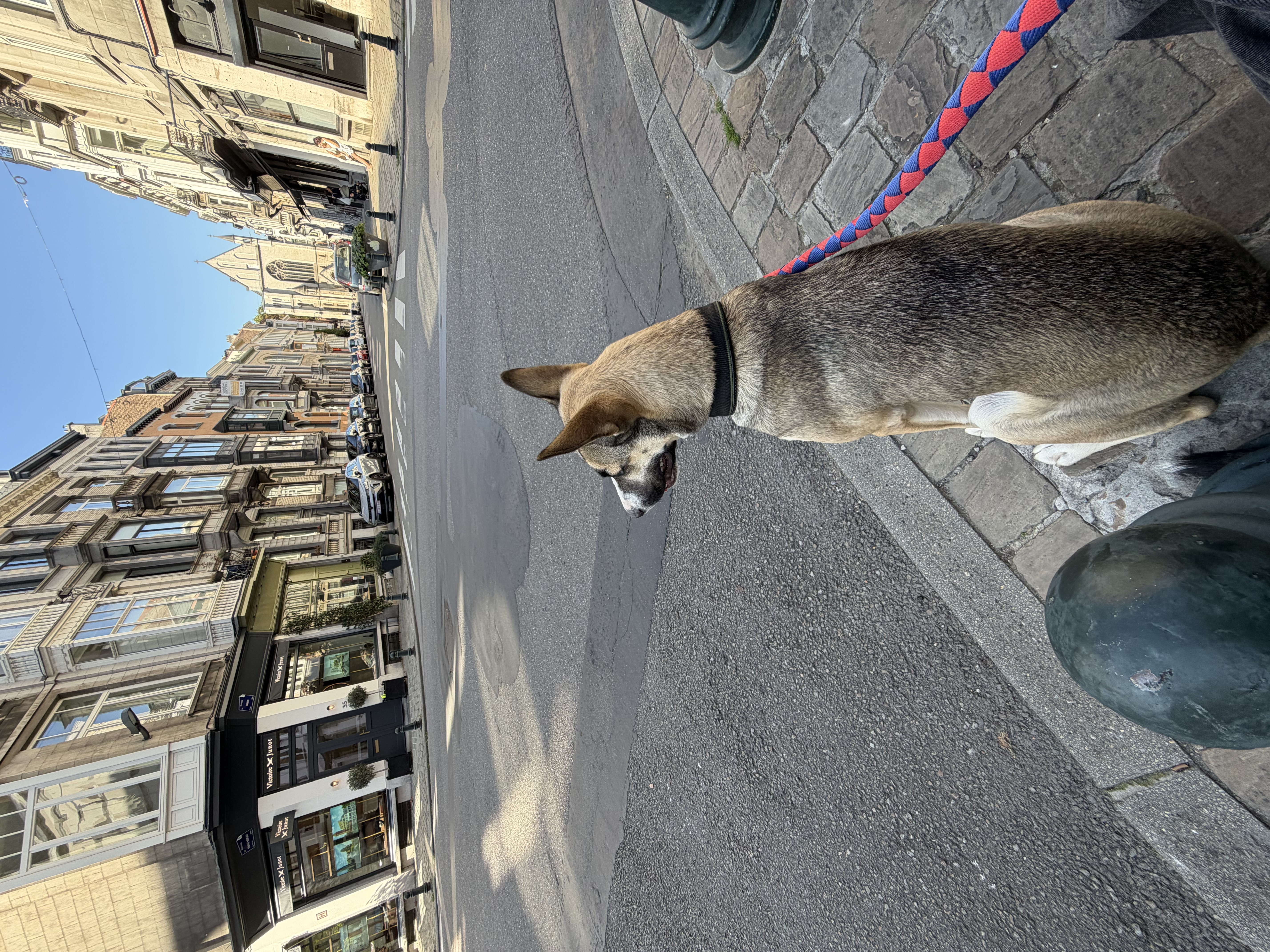 image-8