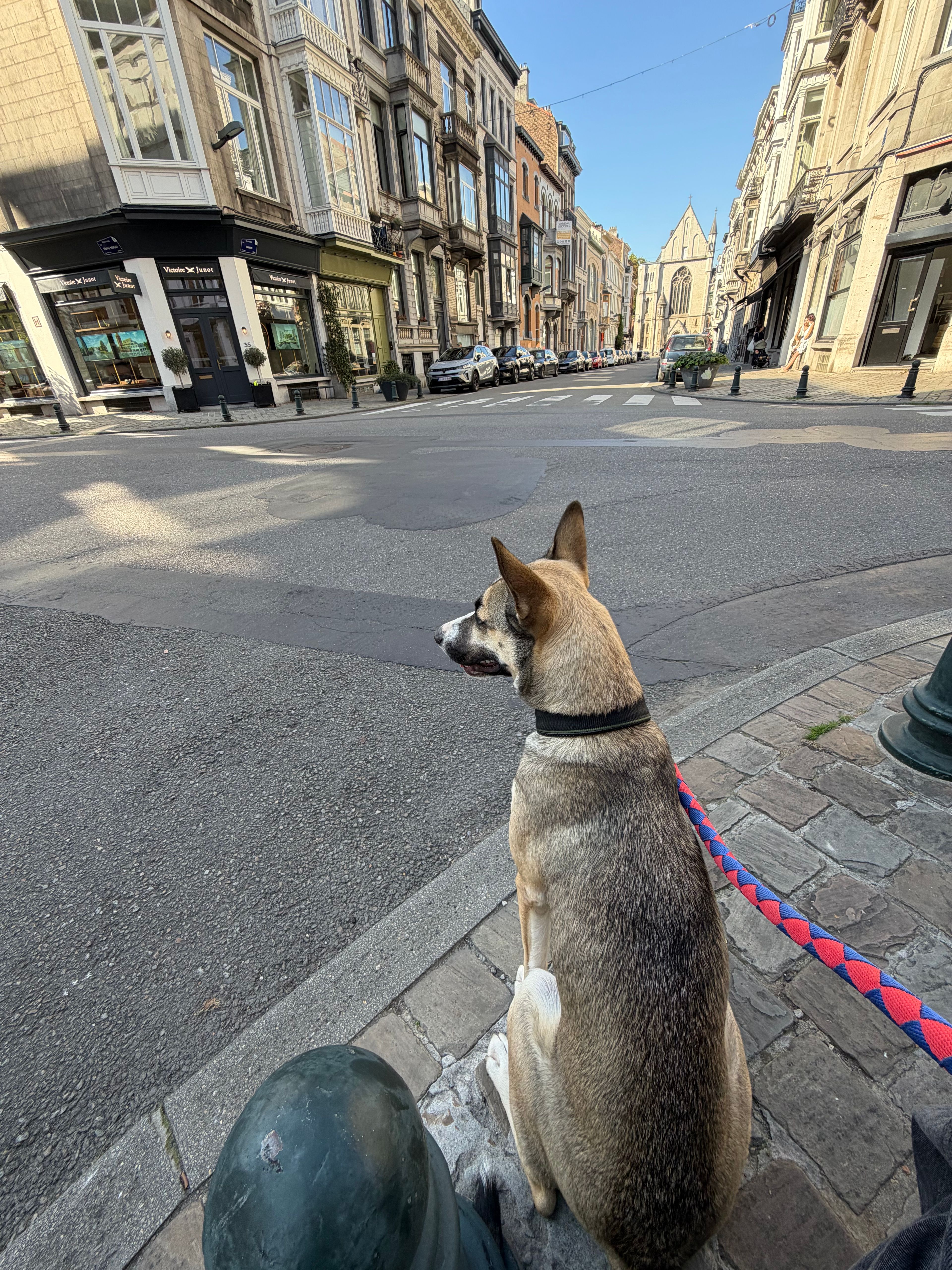 image-8