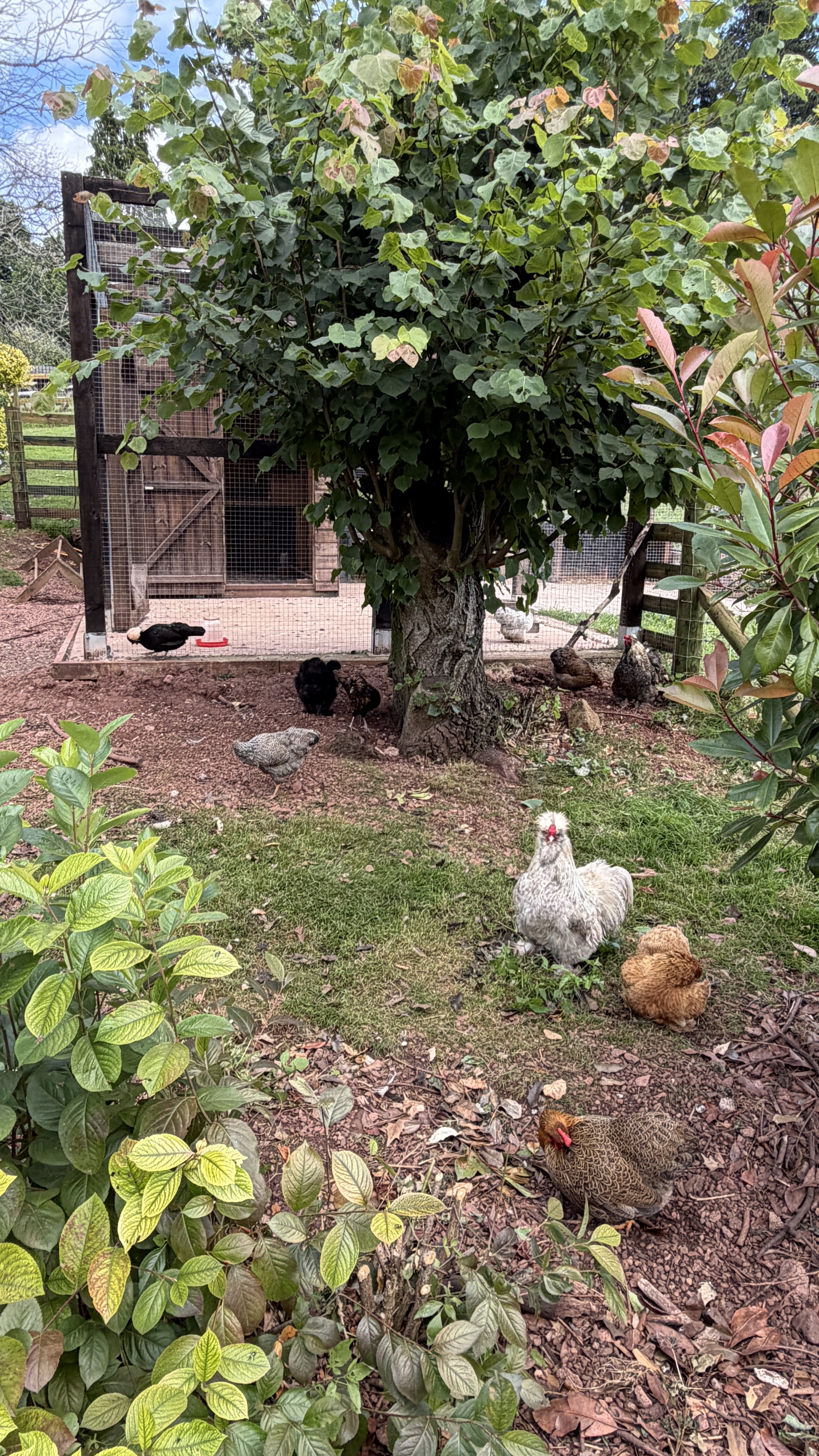 image-13