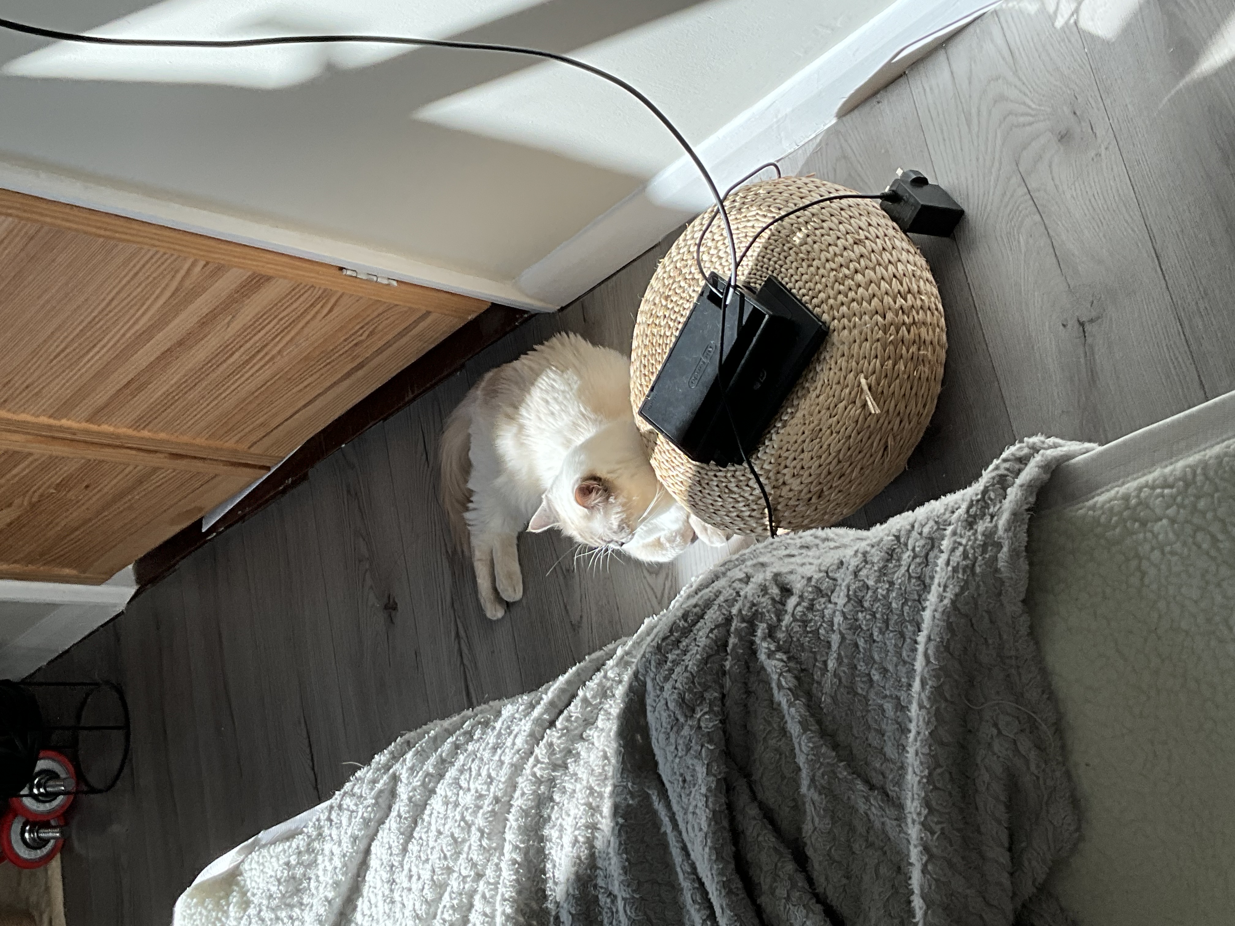 image-18