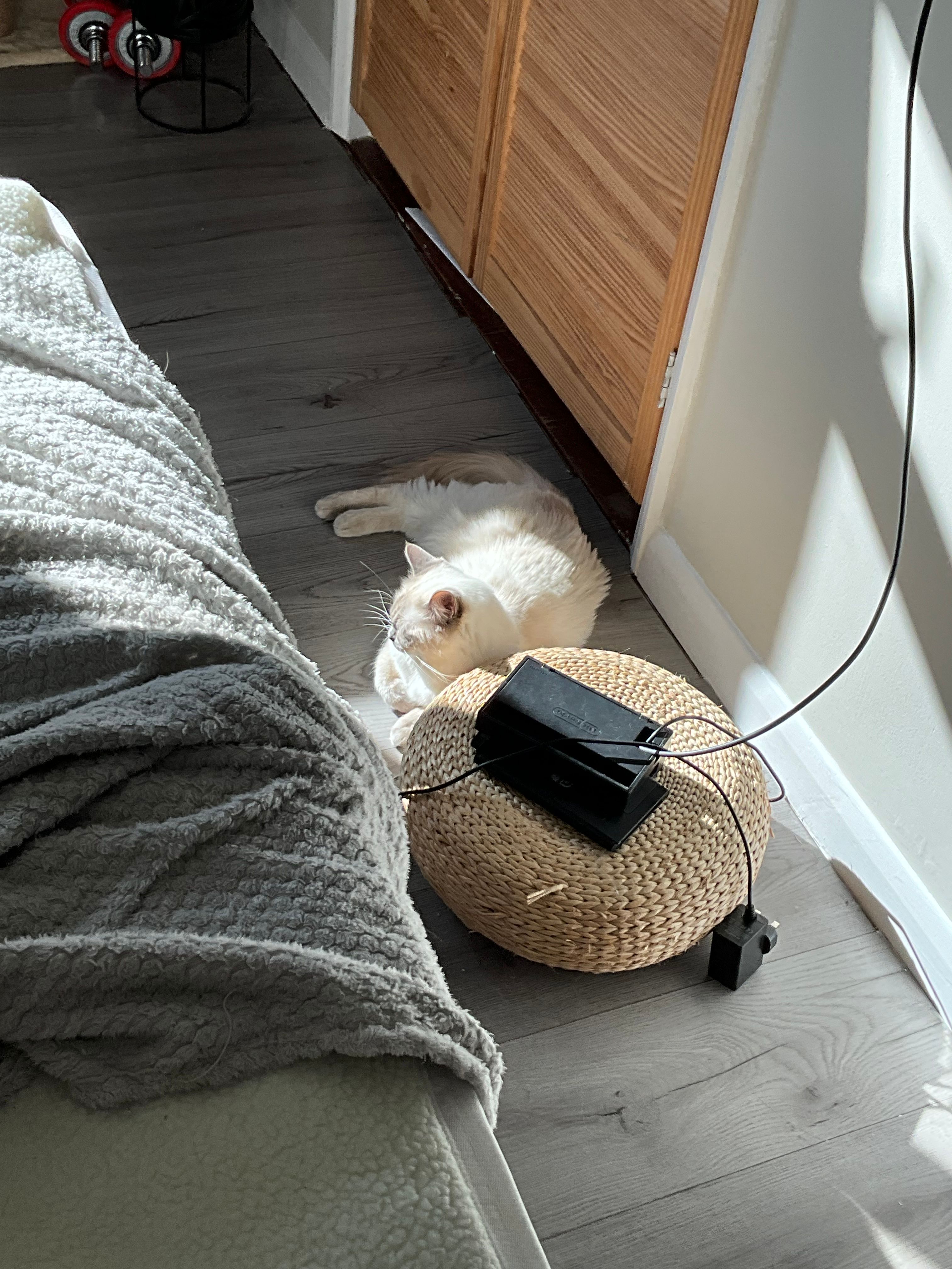 image-18