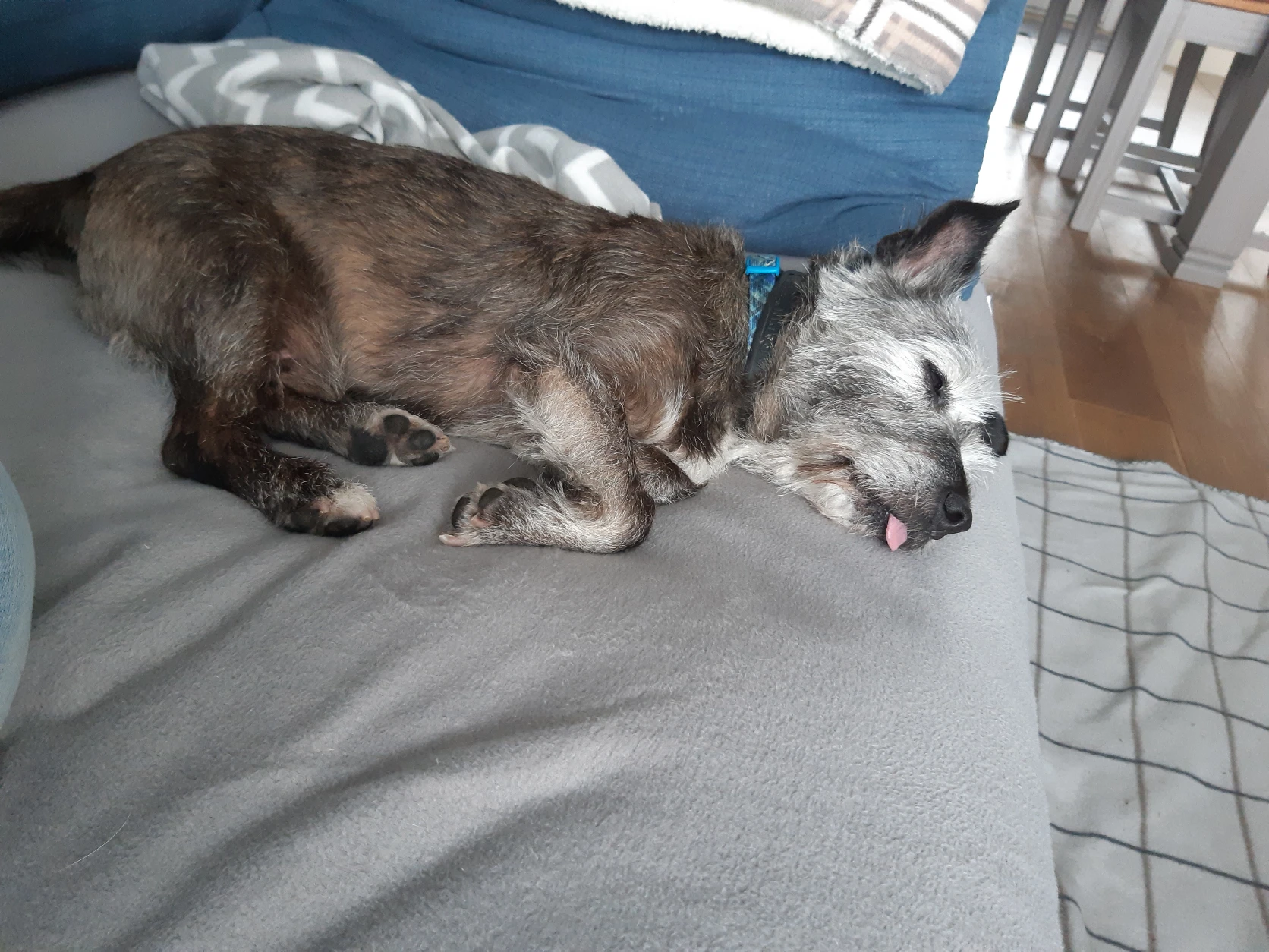 image-11
