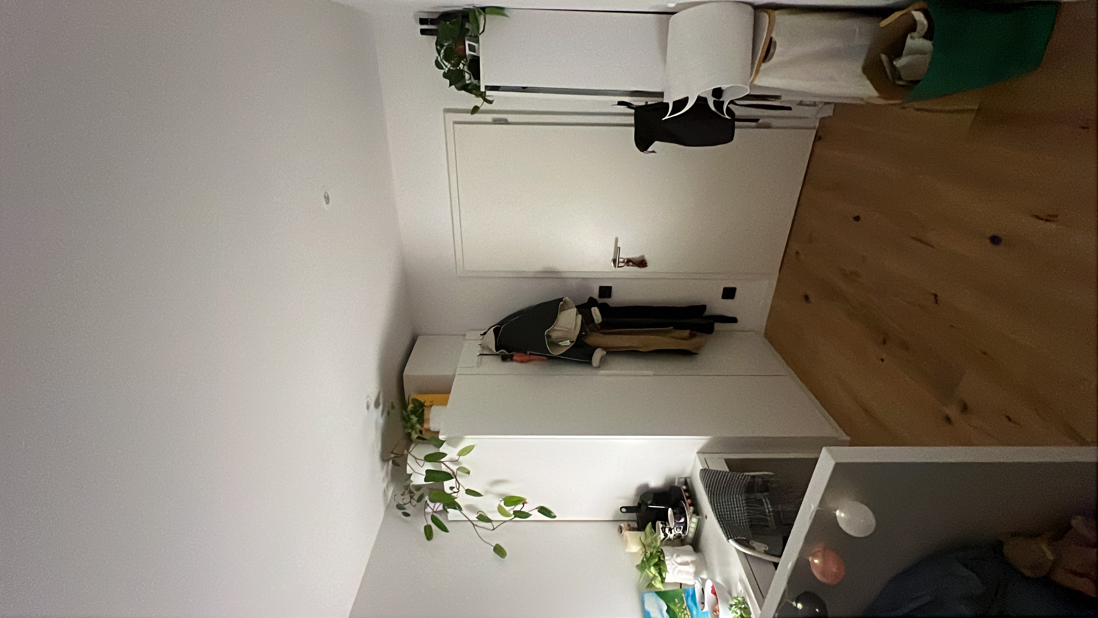 image-20