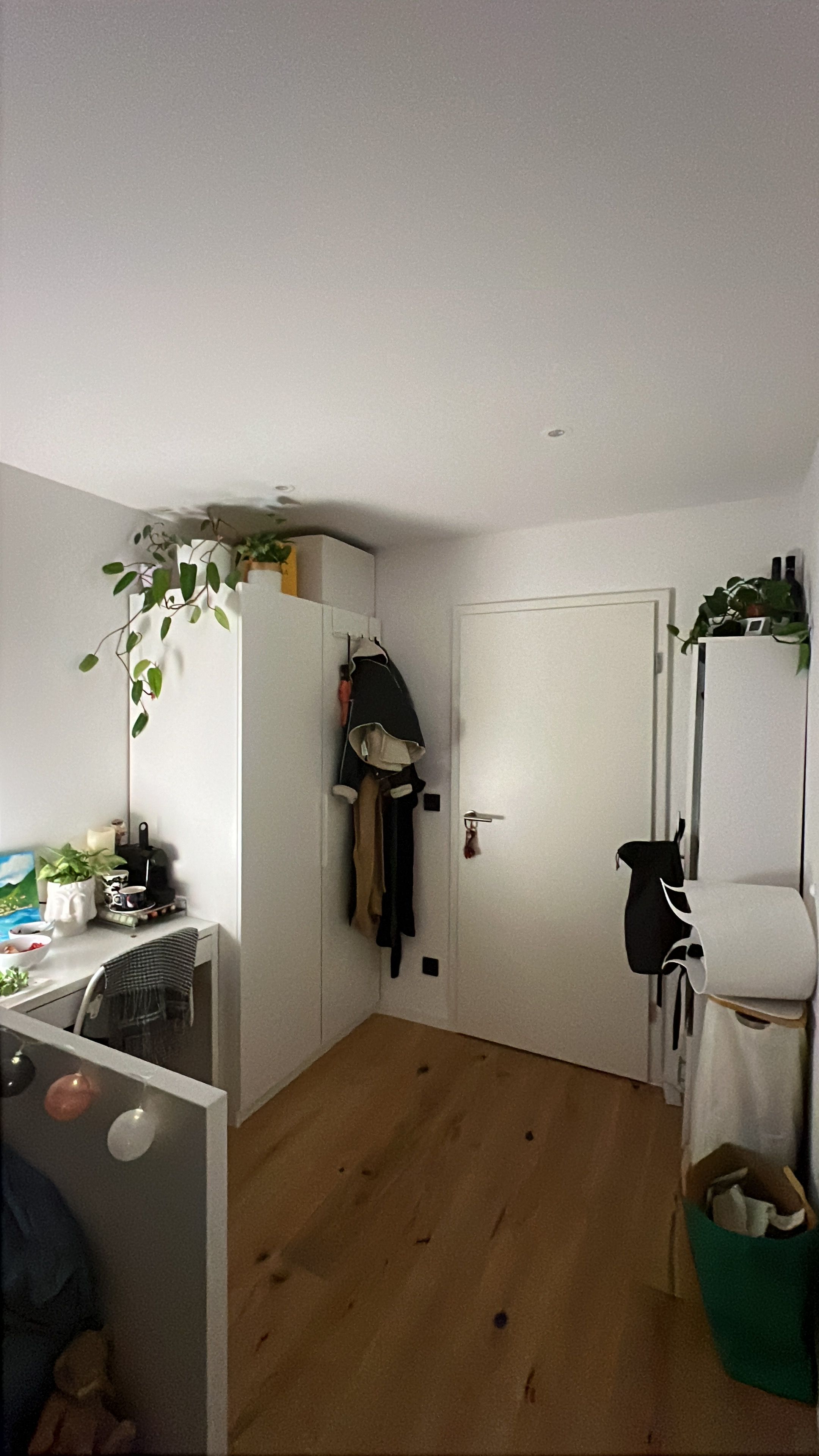 image-20
