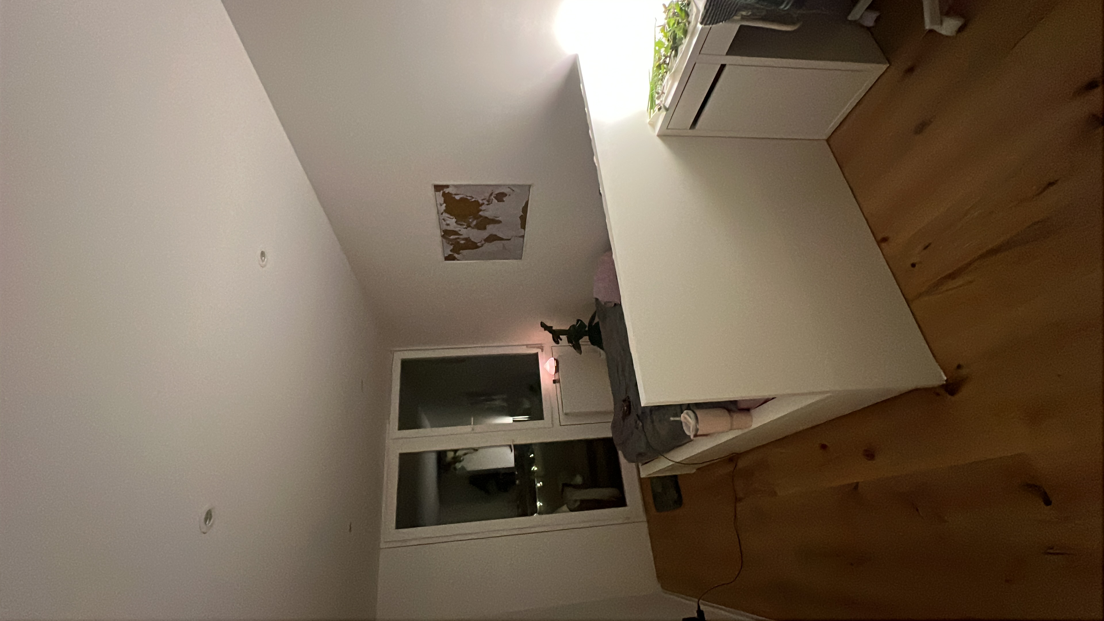 image-19