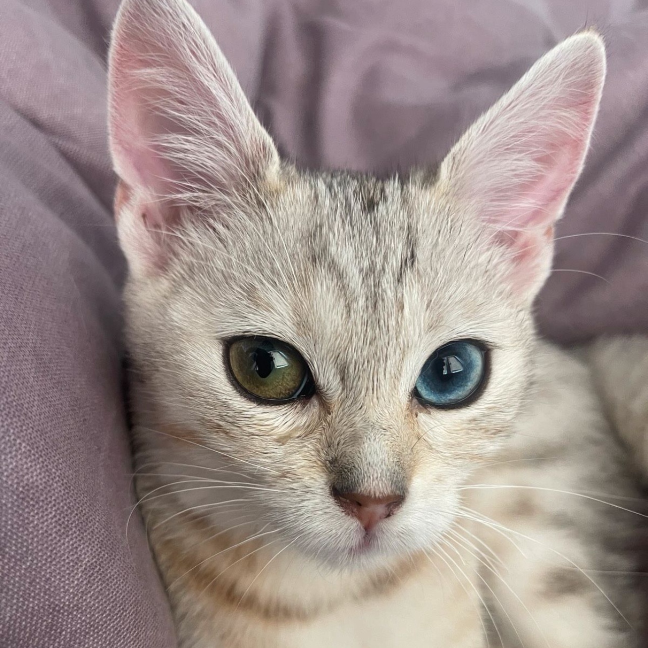 Luna 