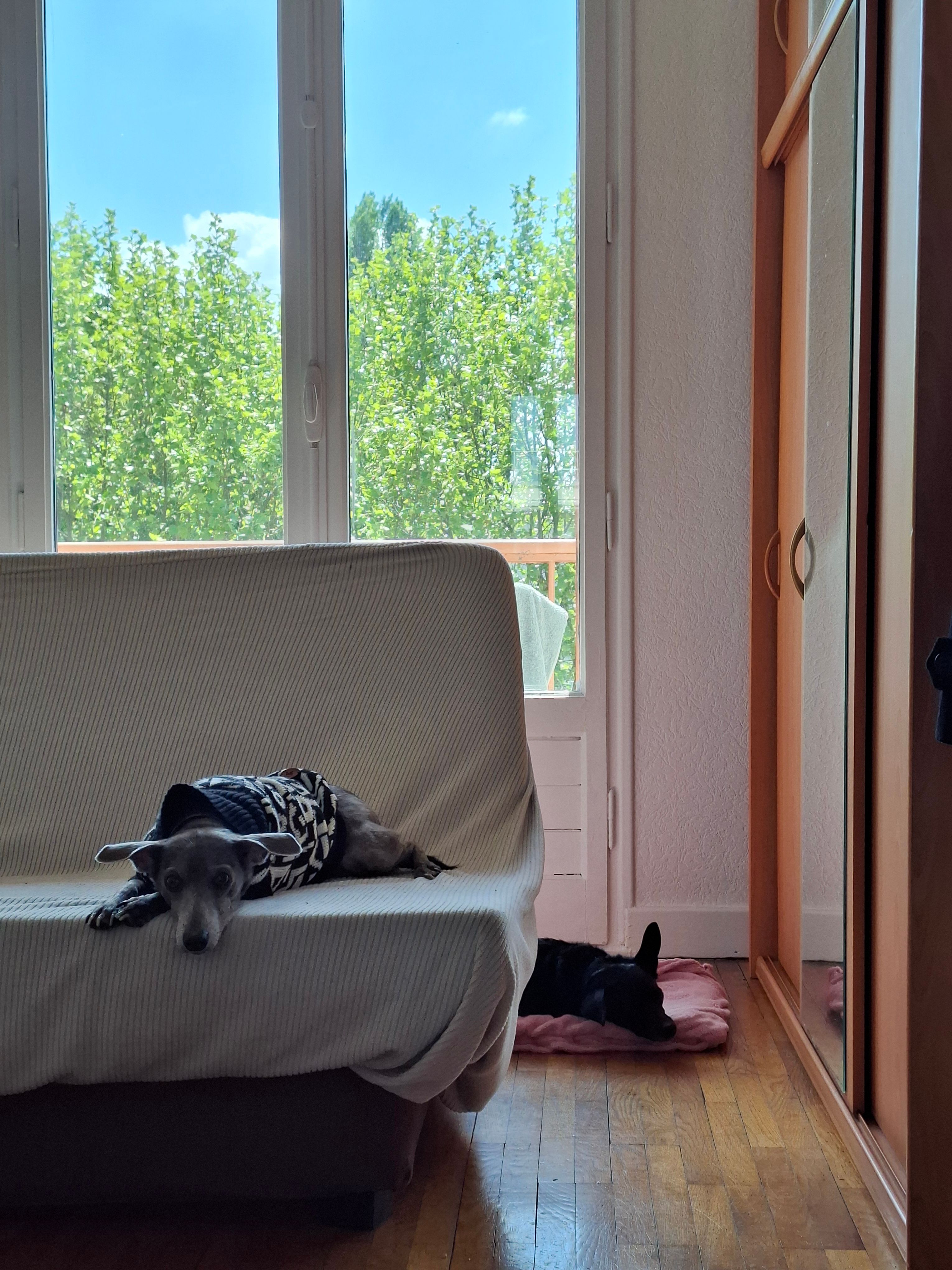 image-13