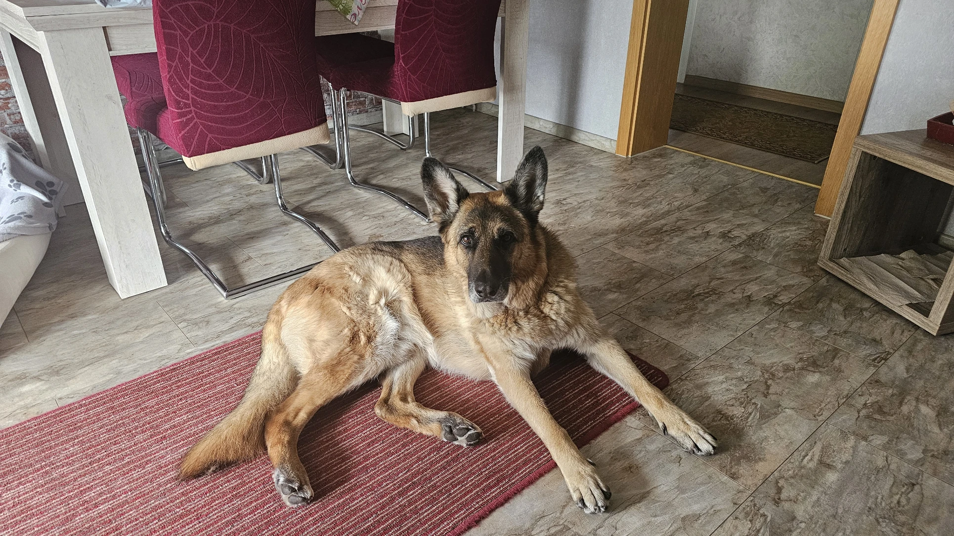 image-27