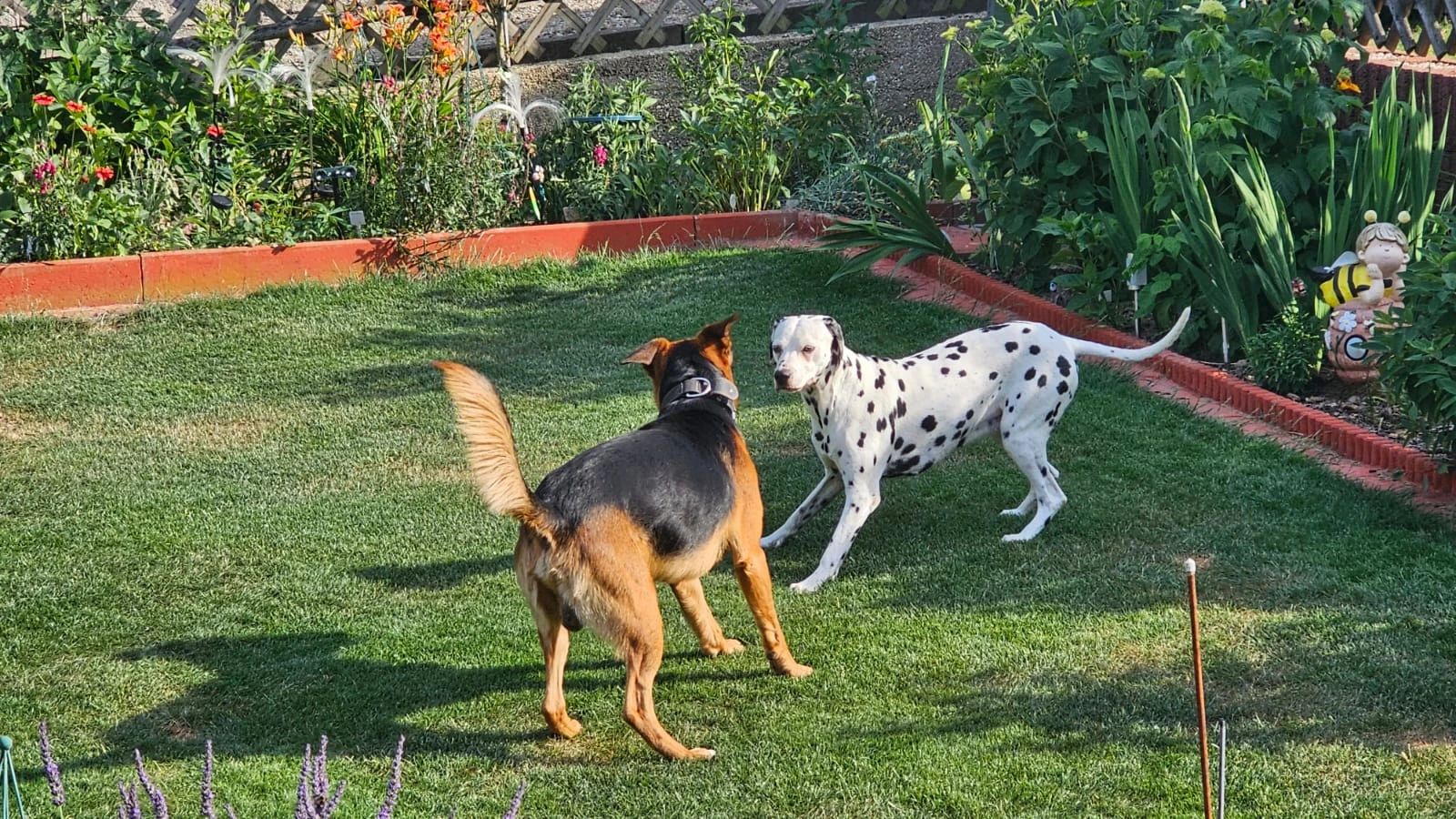 image-25