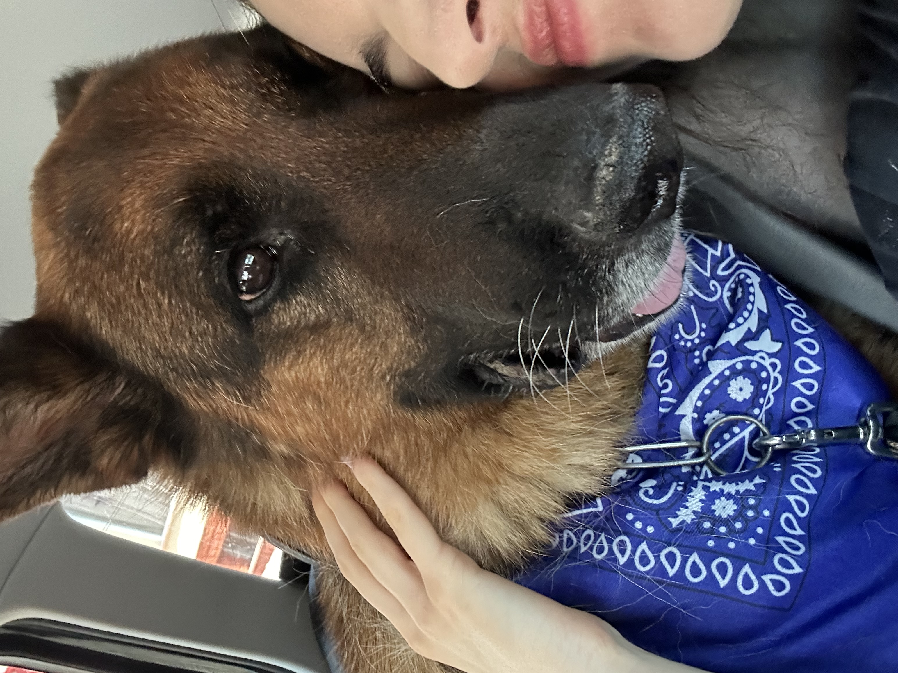 image-6