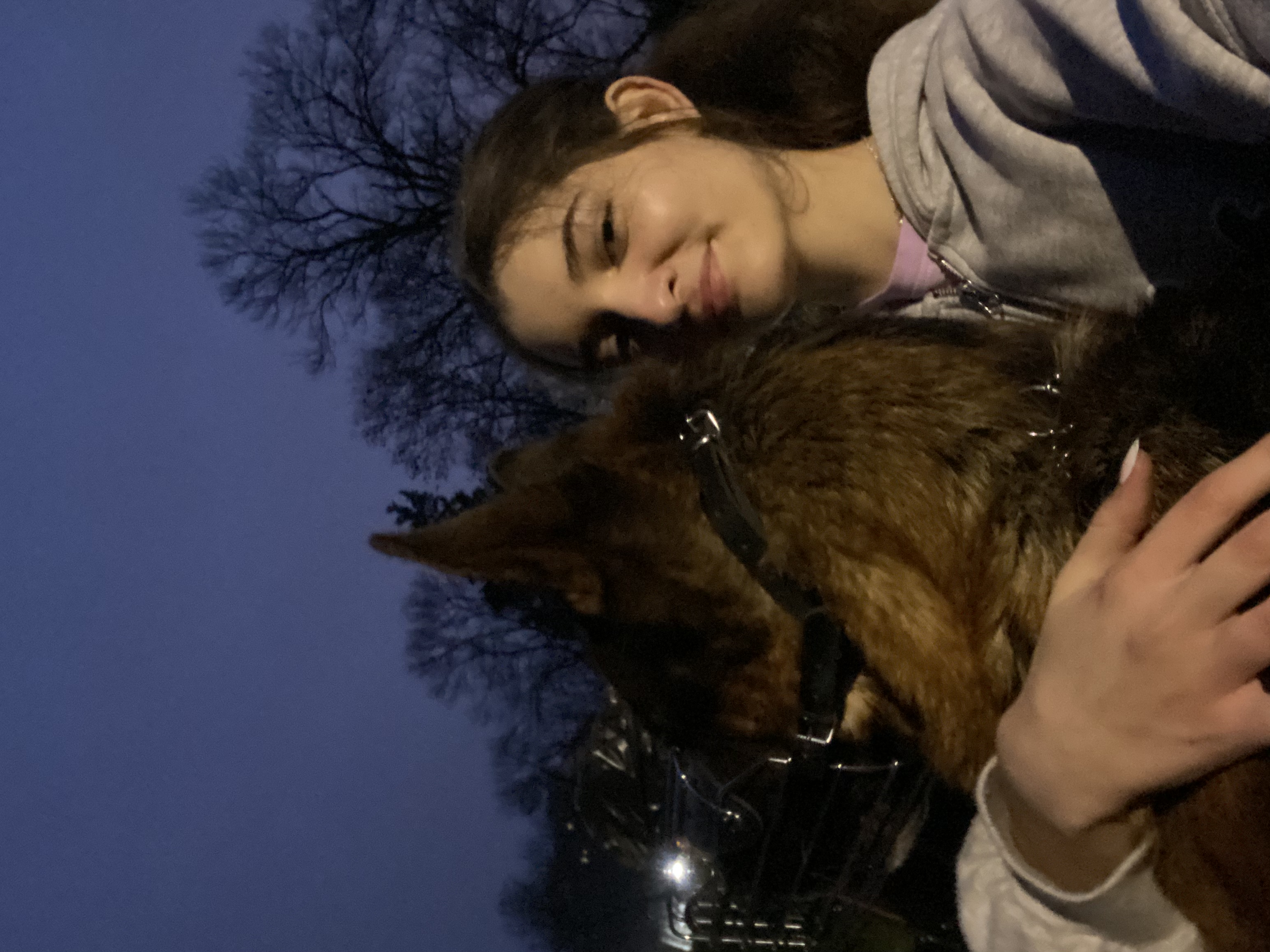 image-12