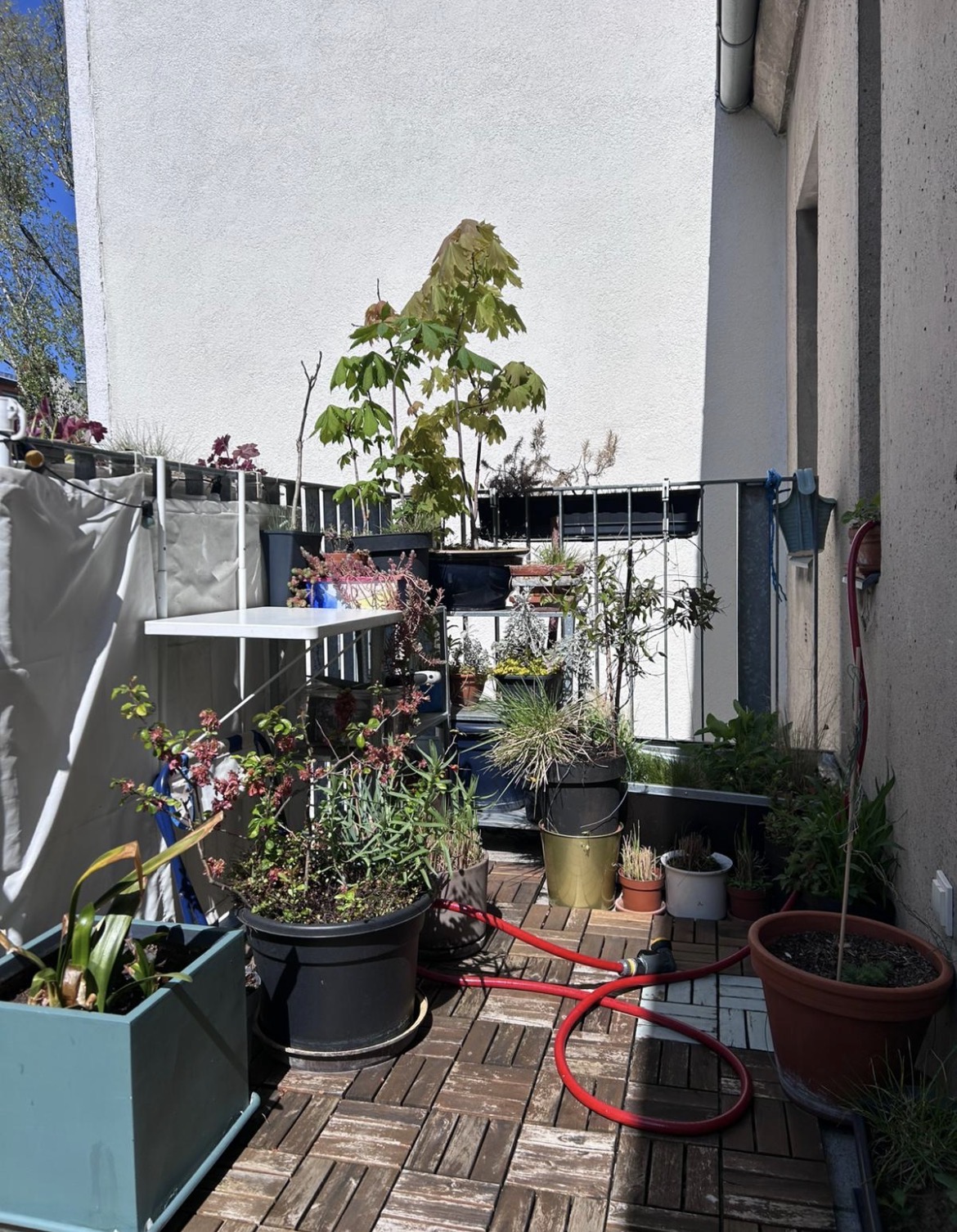 image-18