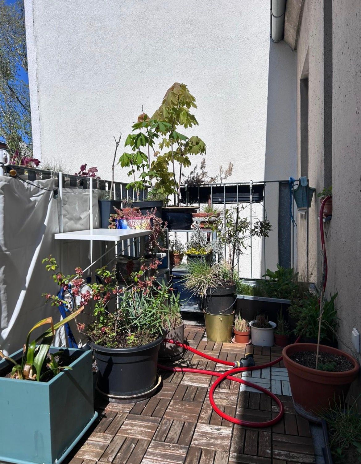 image-18