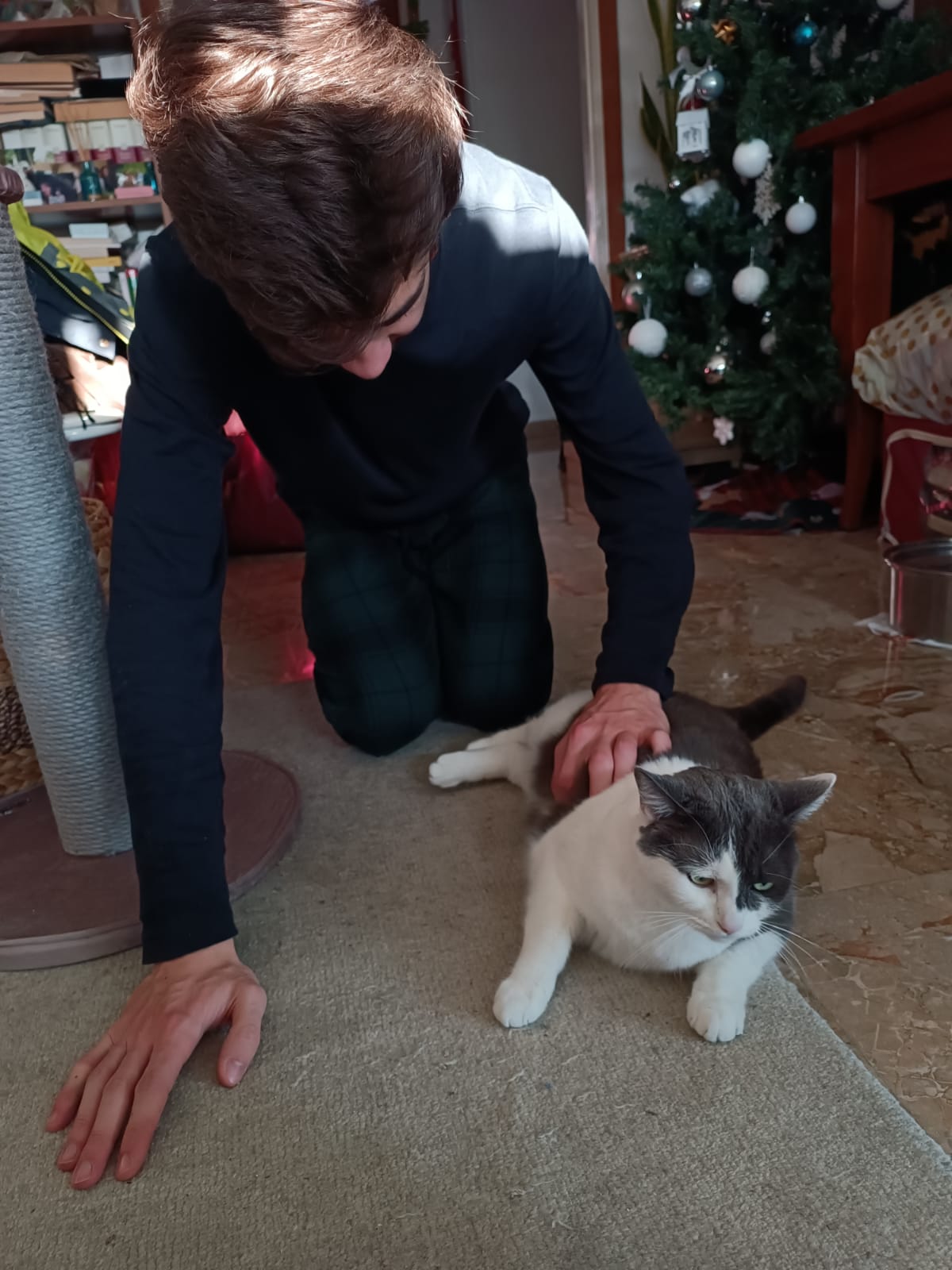 image-6