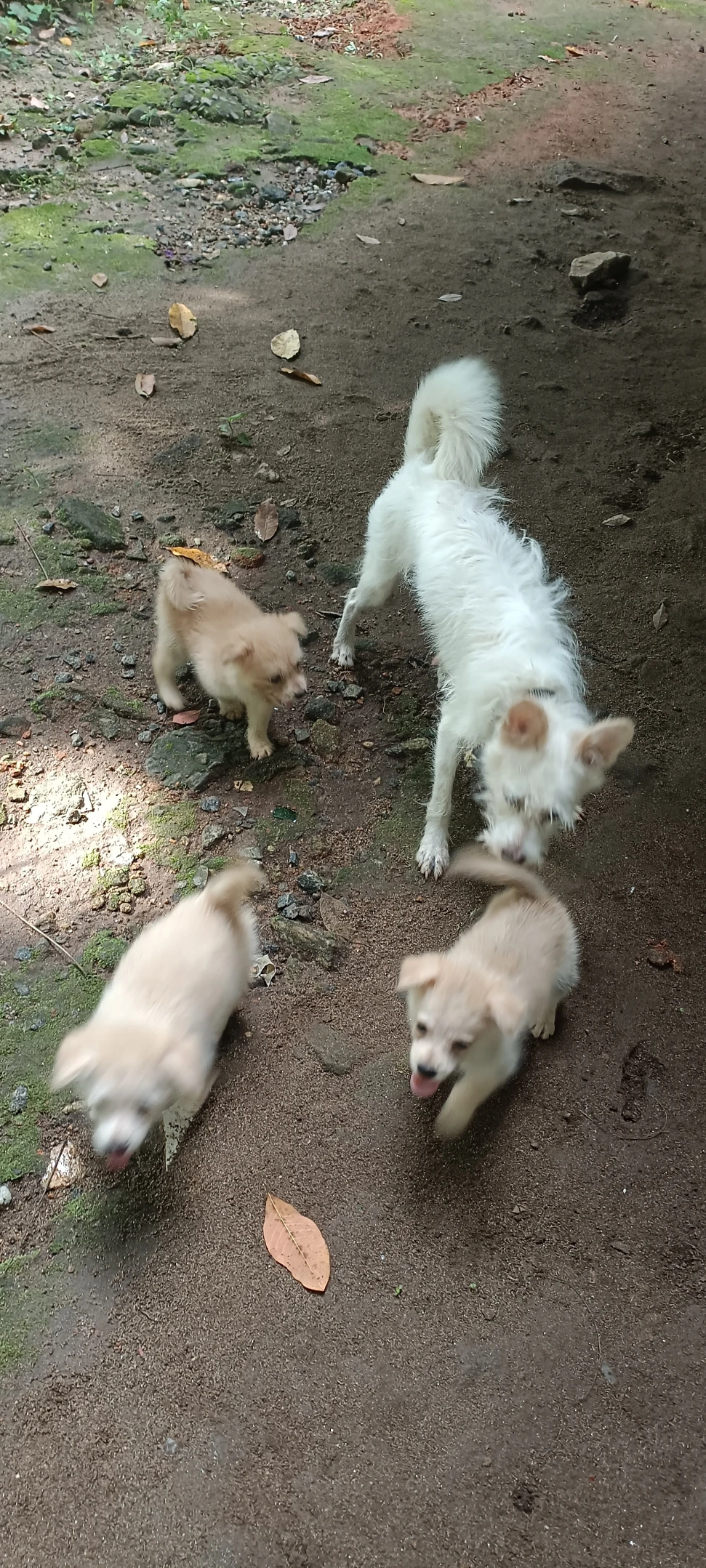 image-3