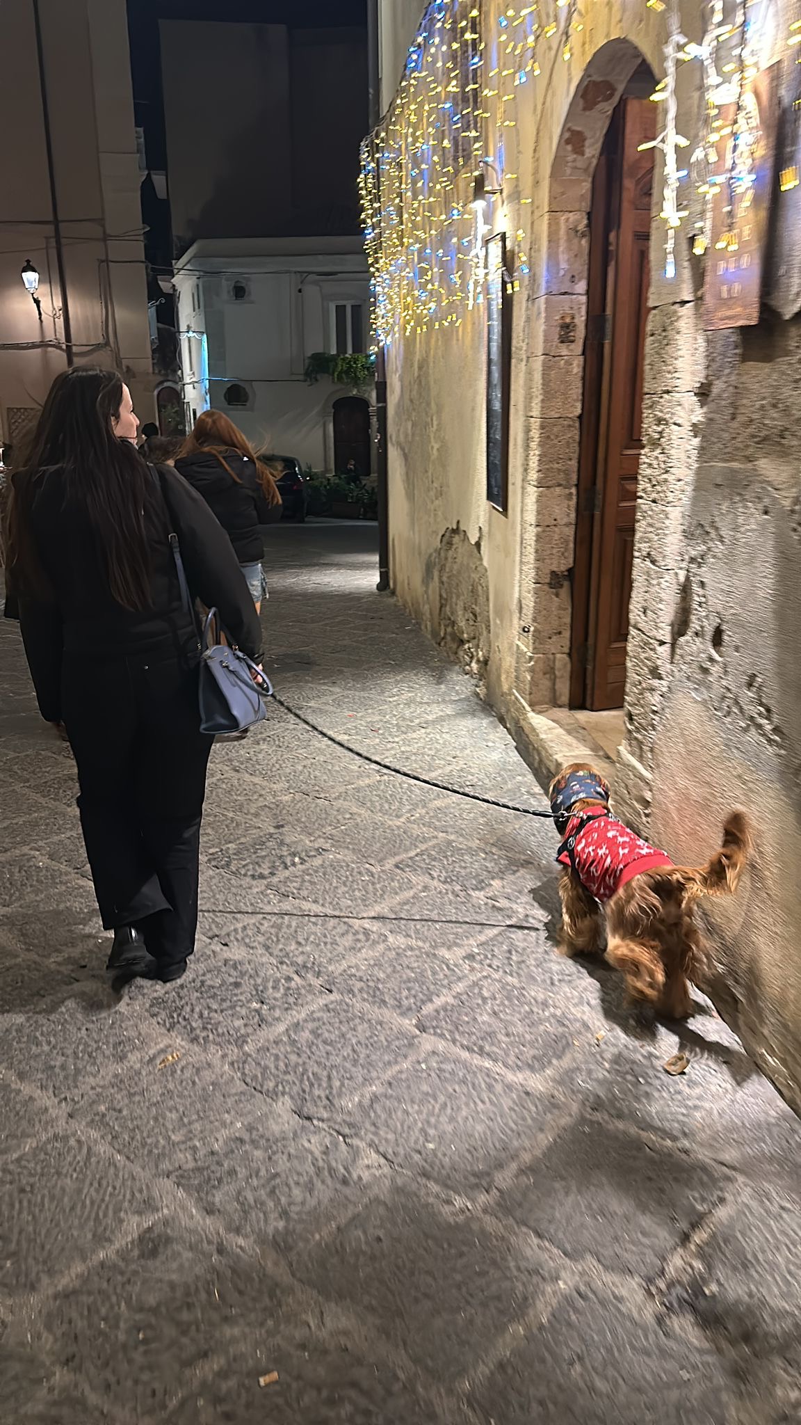 image-3