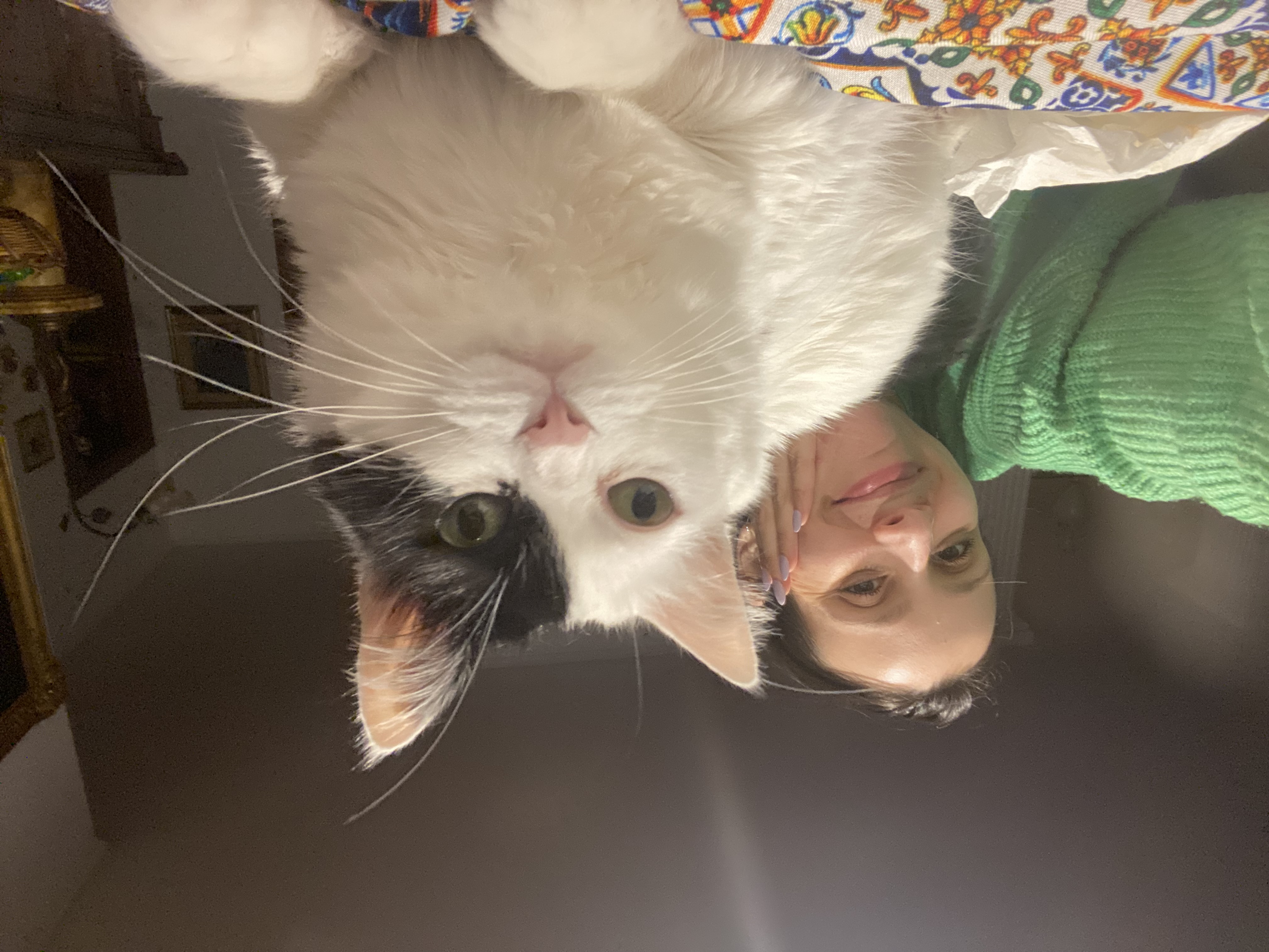 image-8