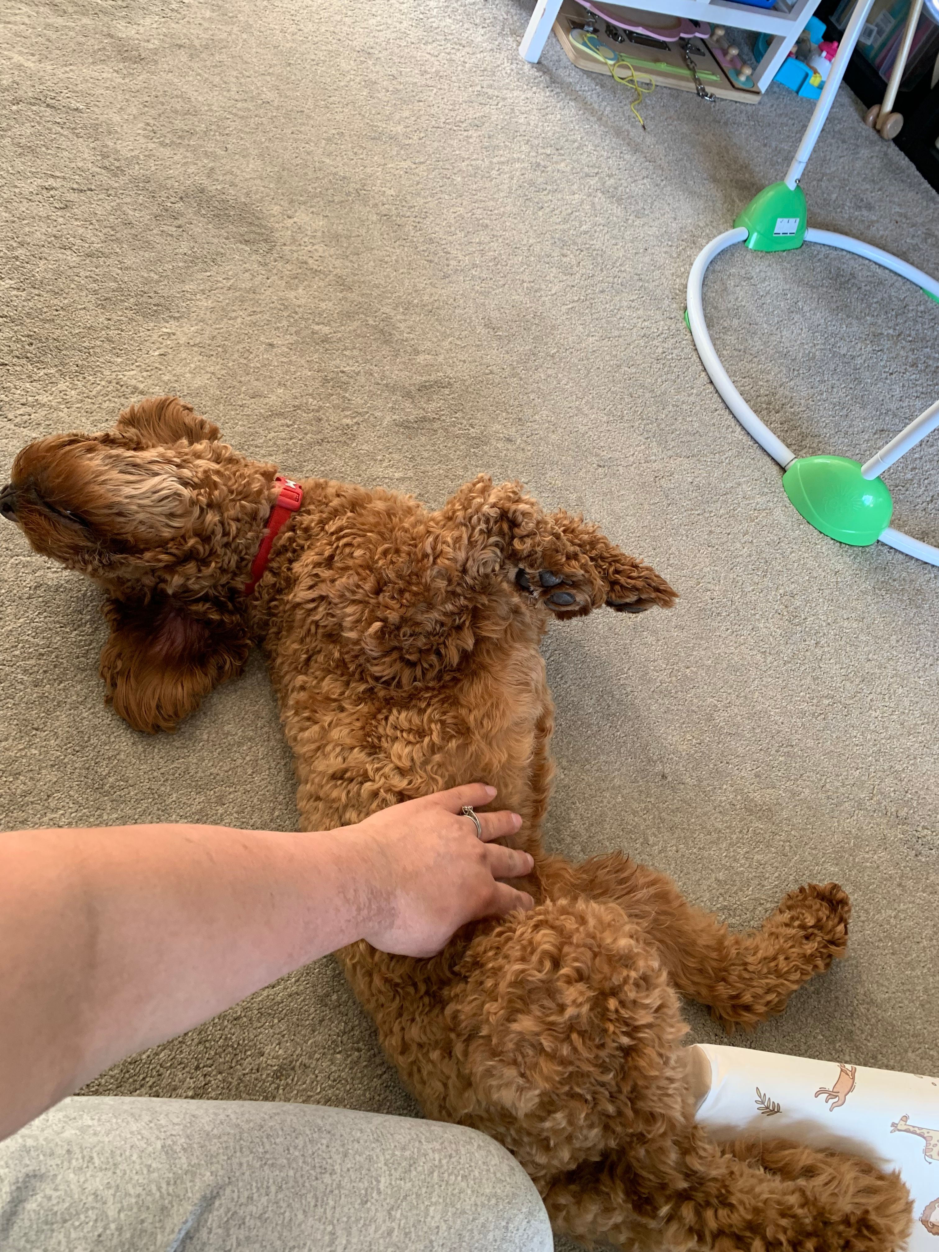 image-9