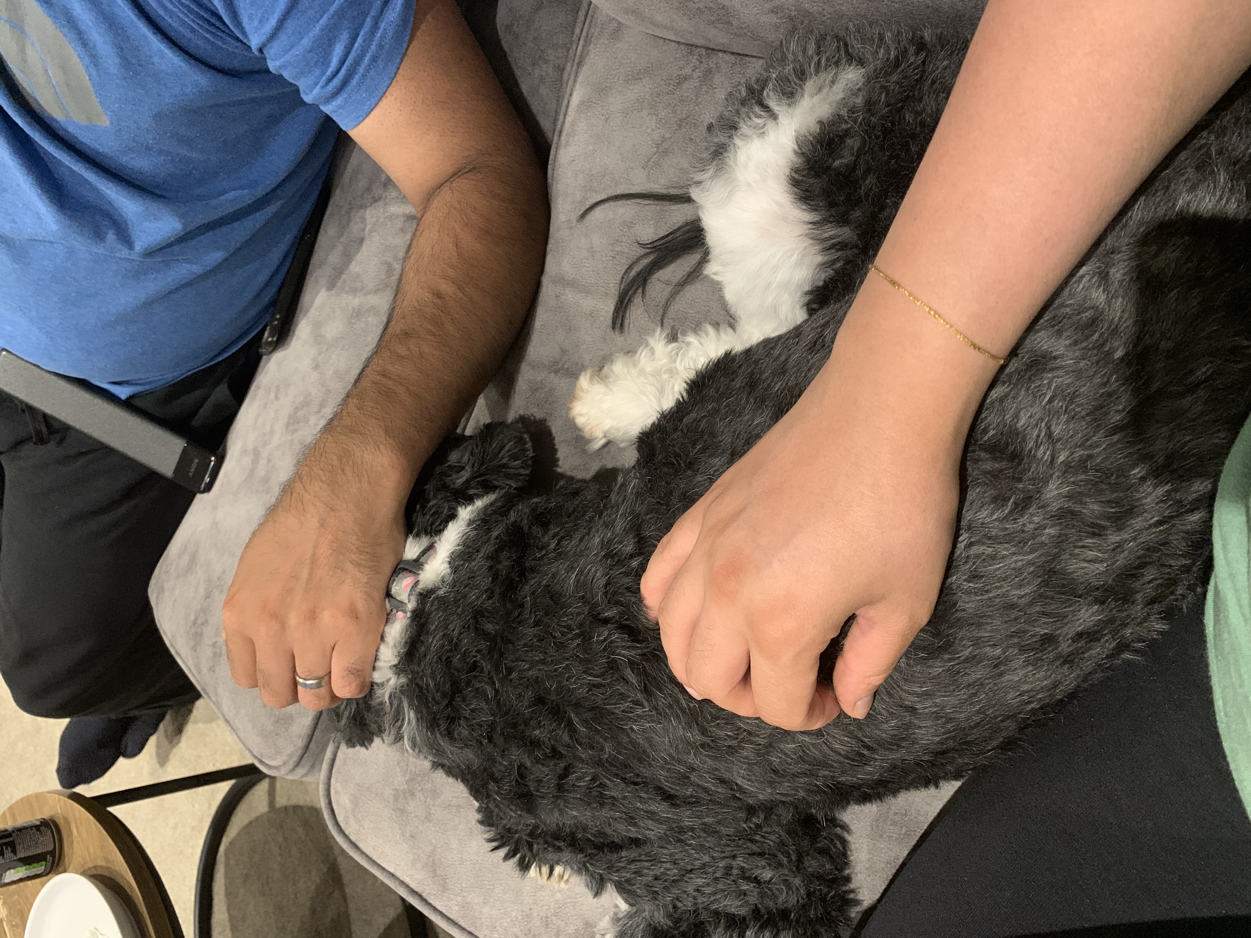 image-13