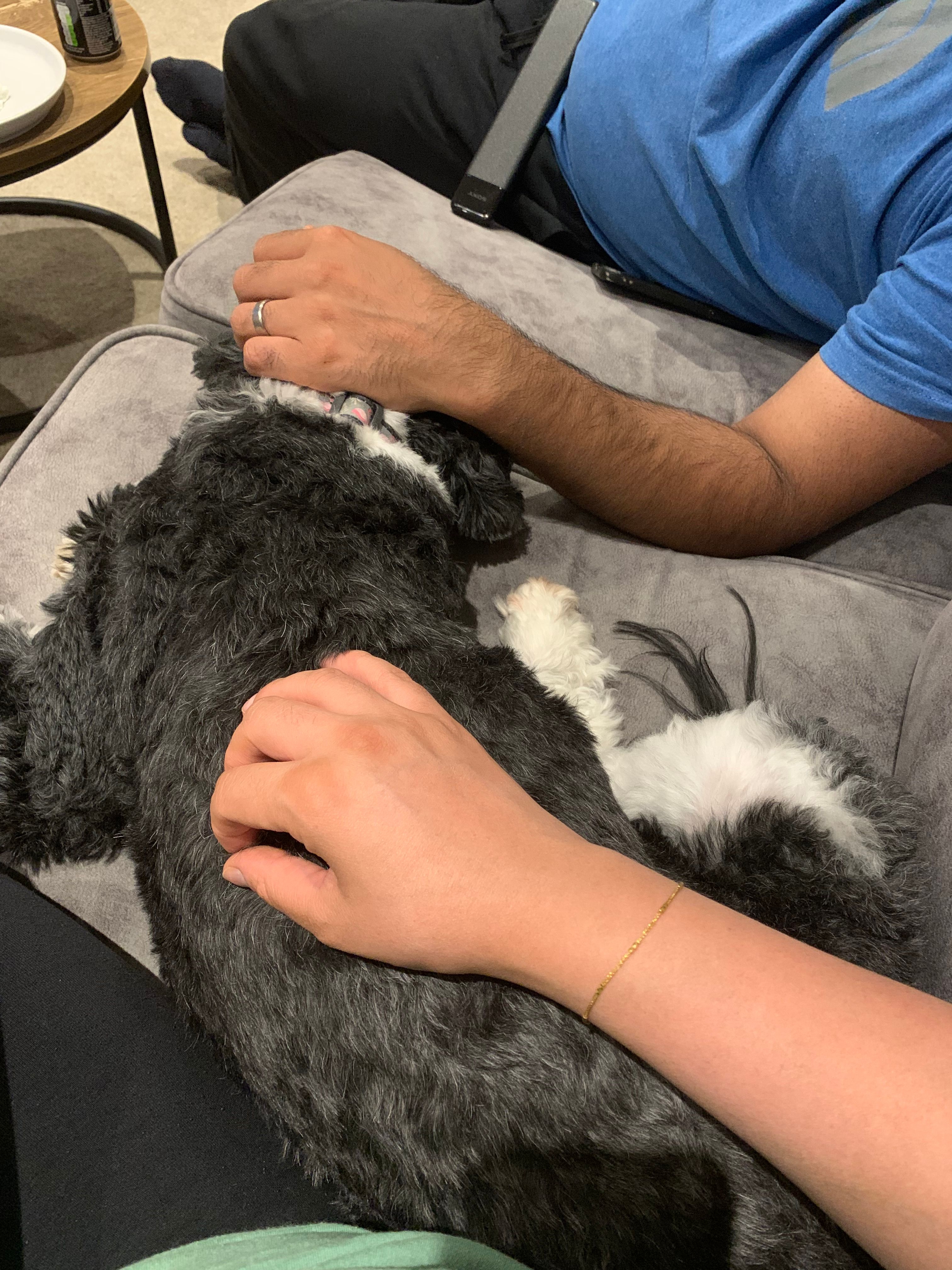 image-13