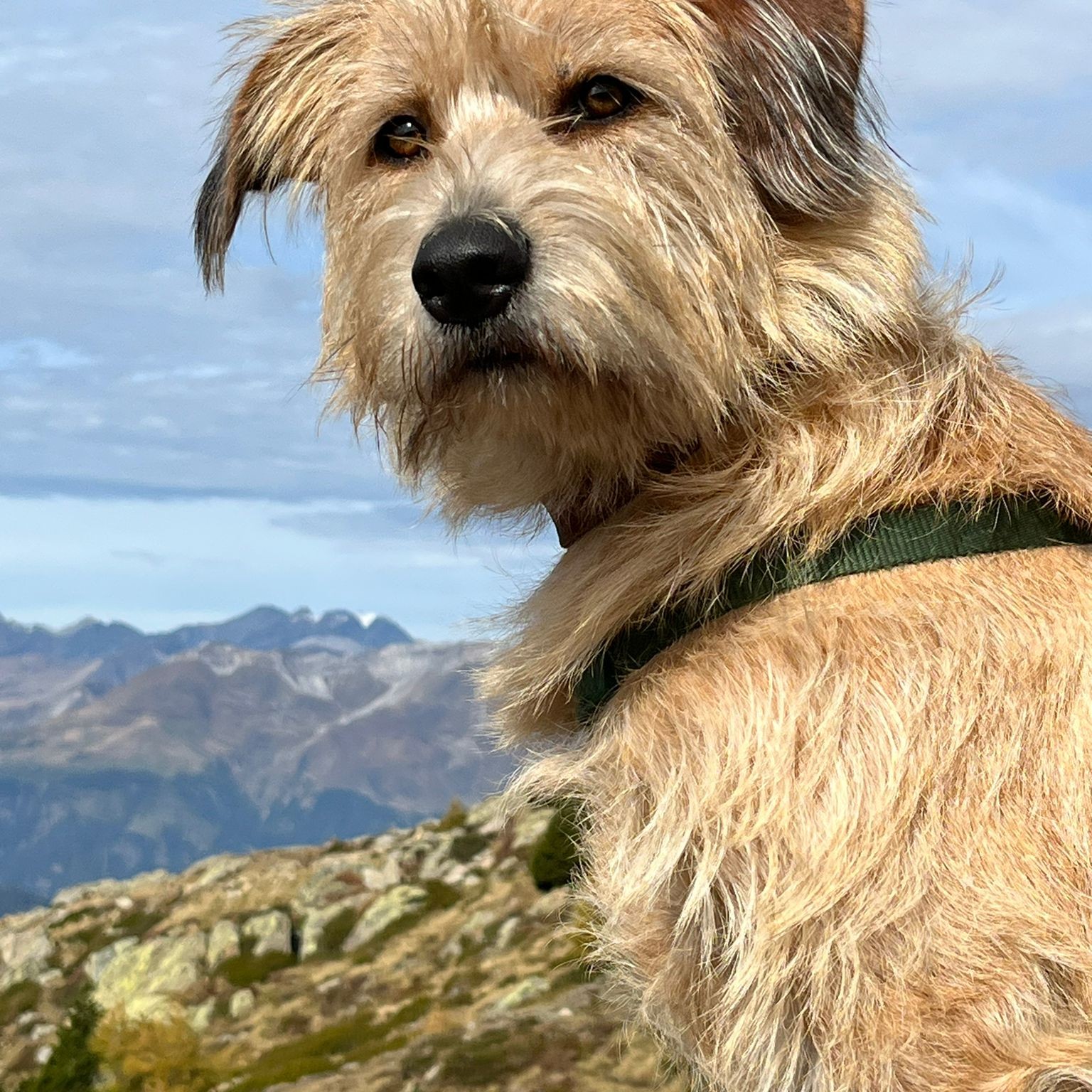 Matthias