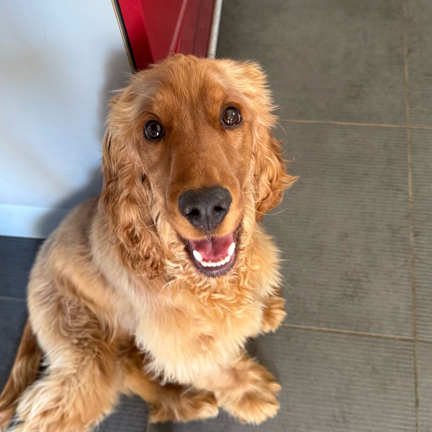 Milo