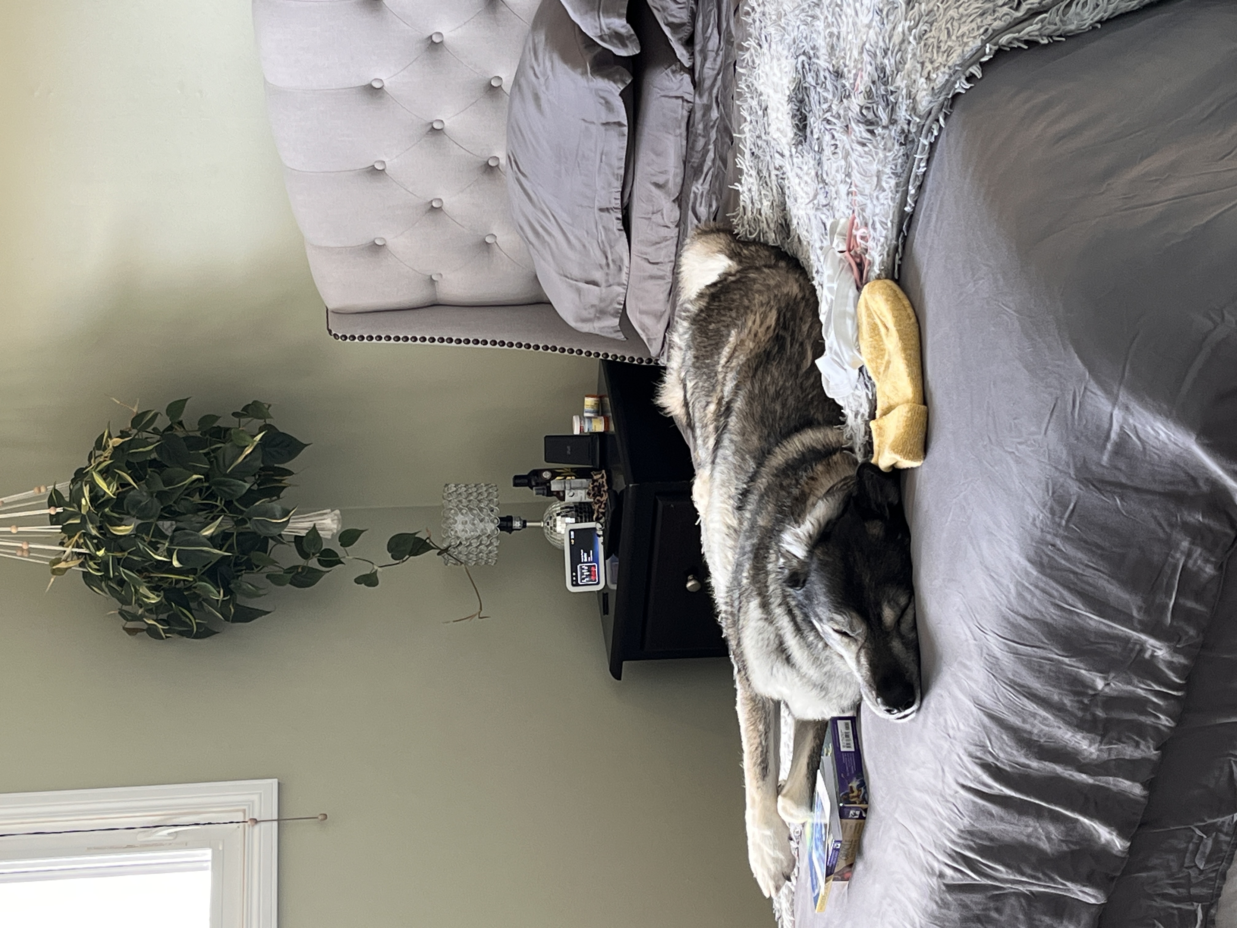 image-8
