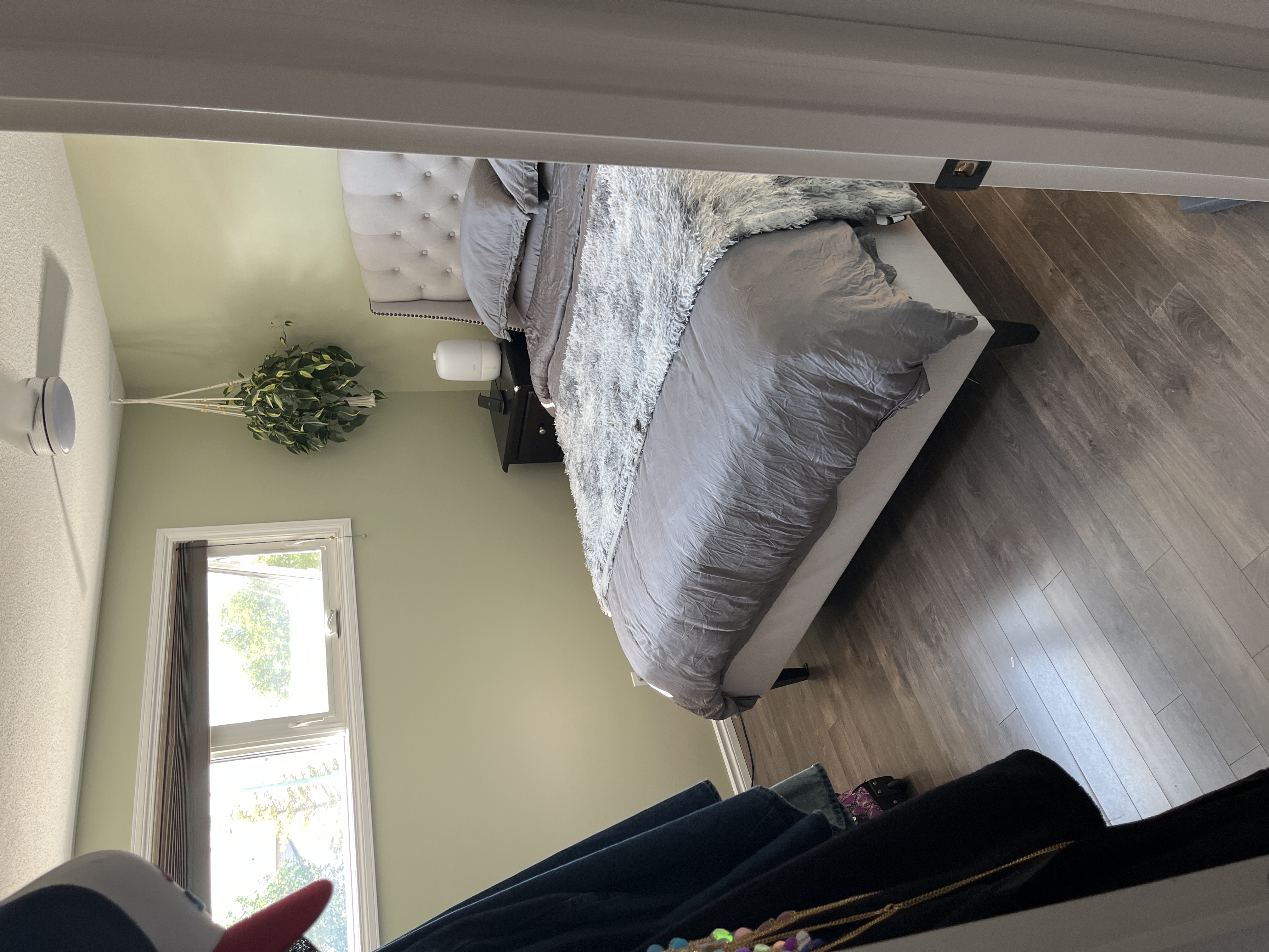 image-19