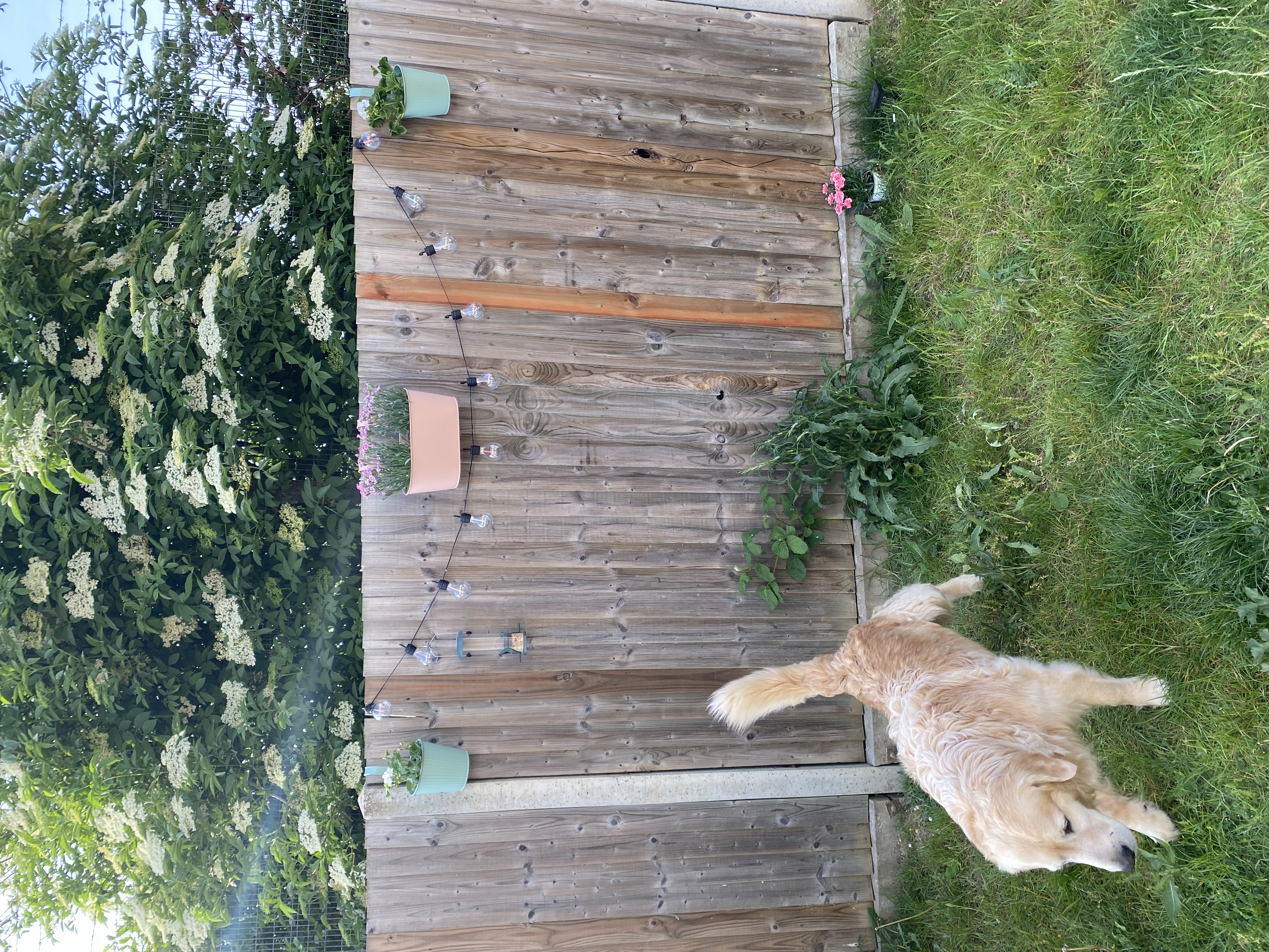 image-29