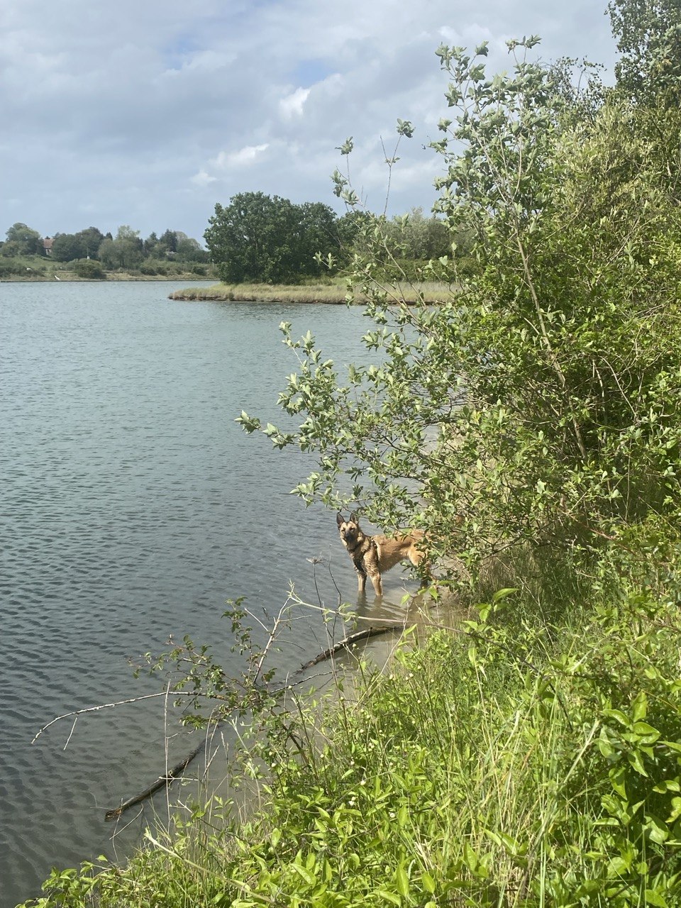 image-12