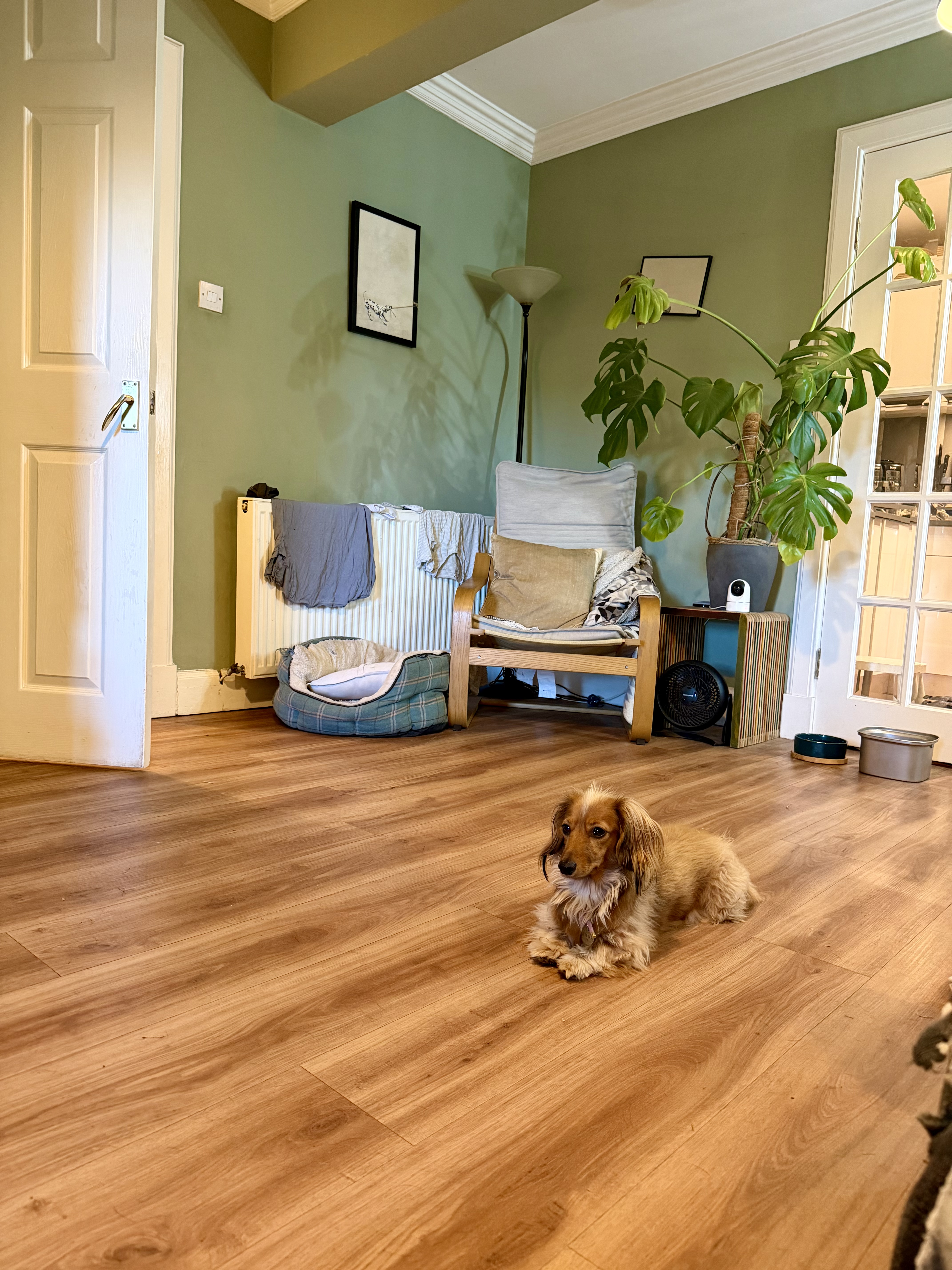 image-16