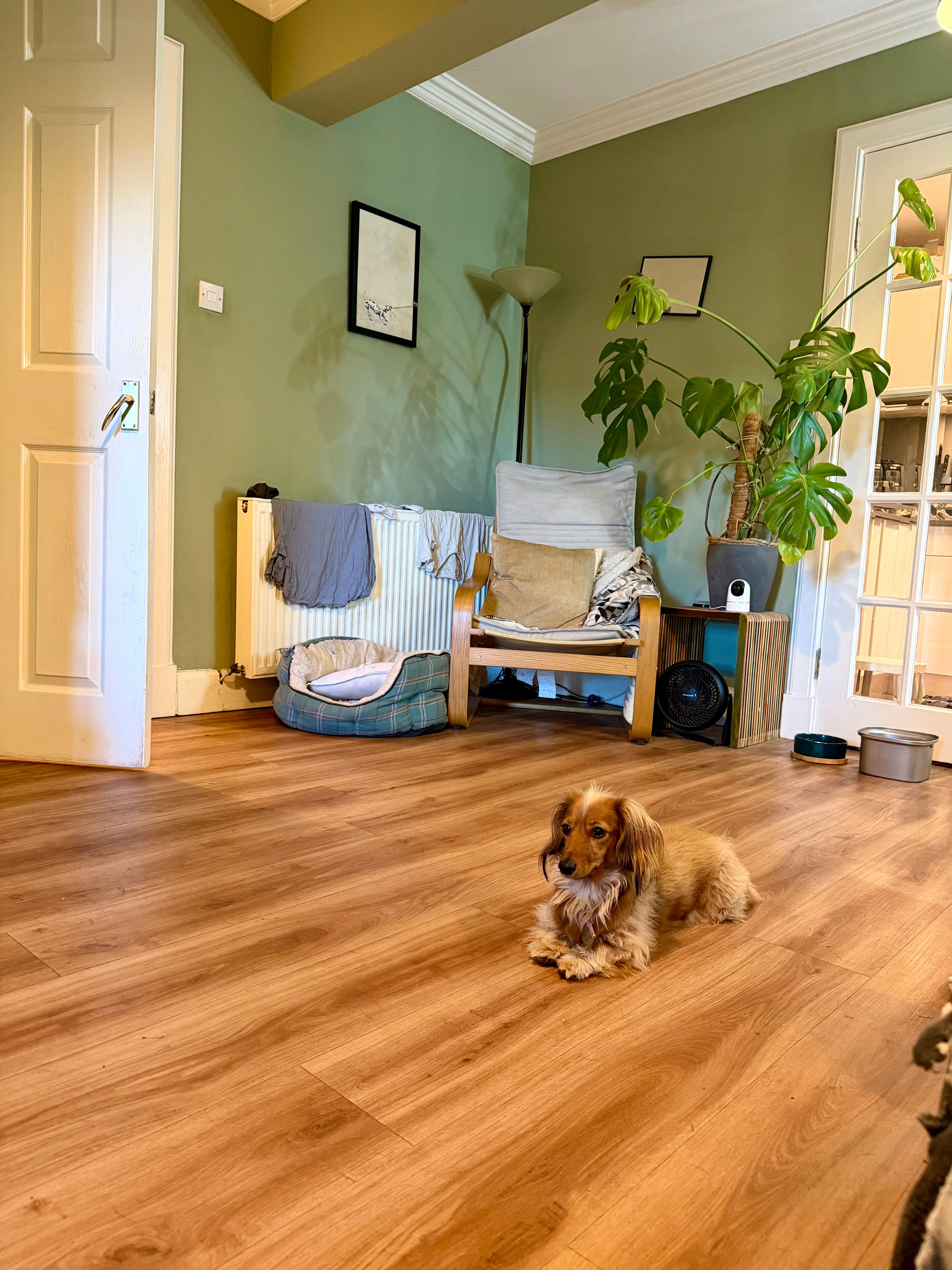 image-16