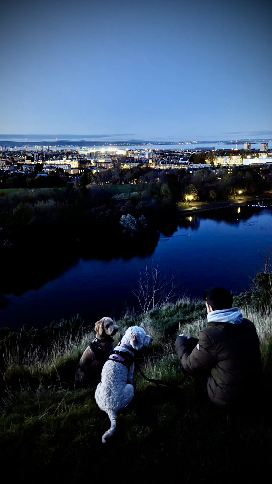 image-3