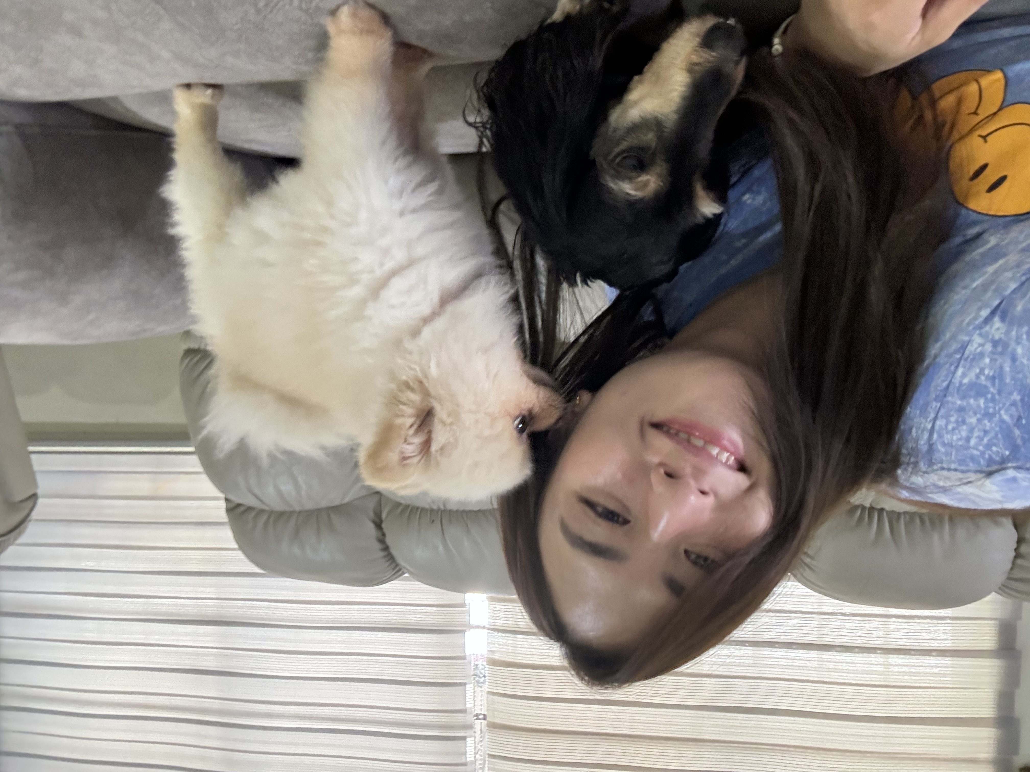 image-1