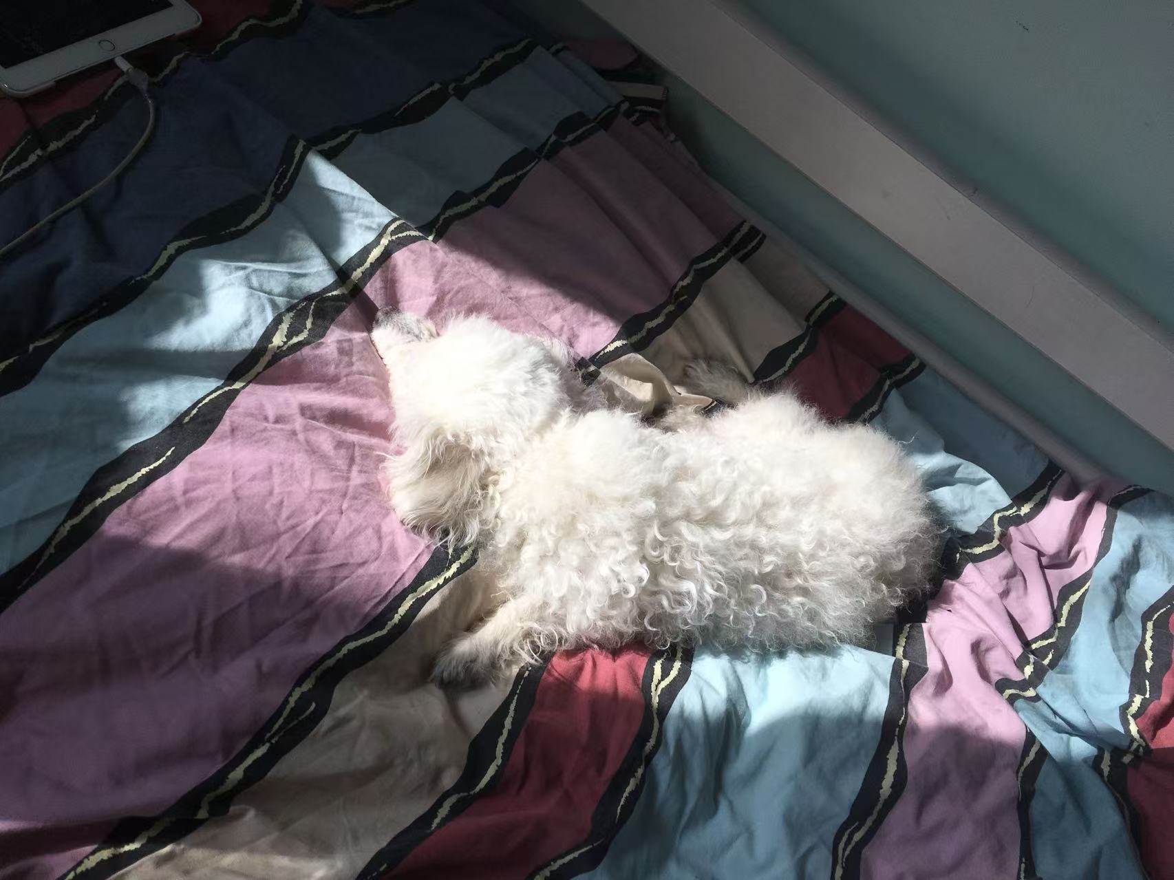 image-11