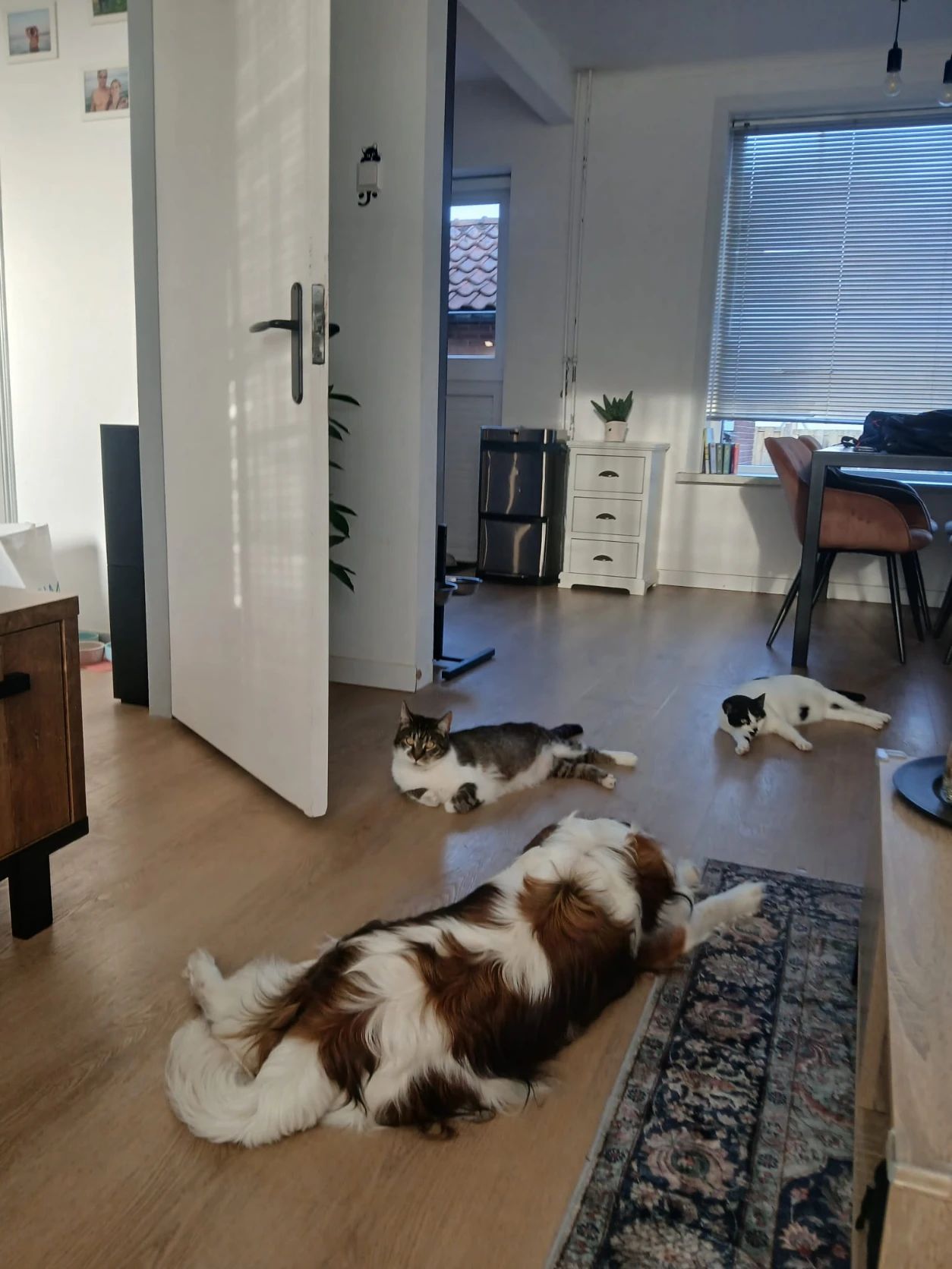image-12