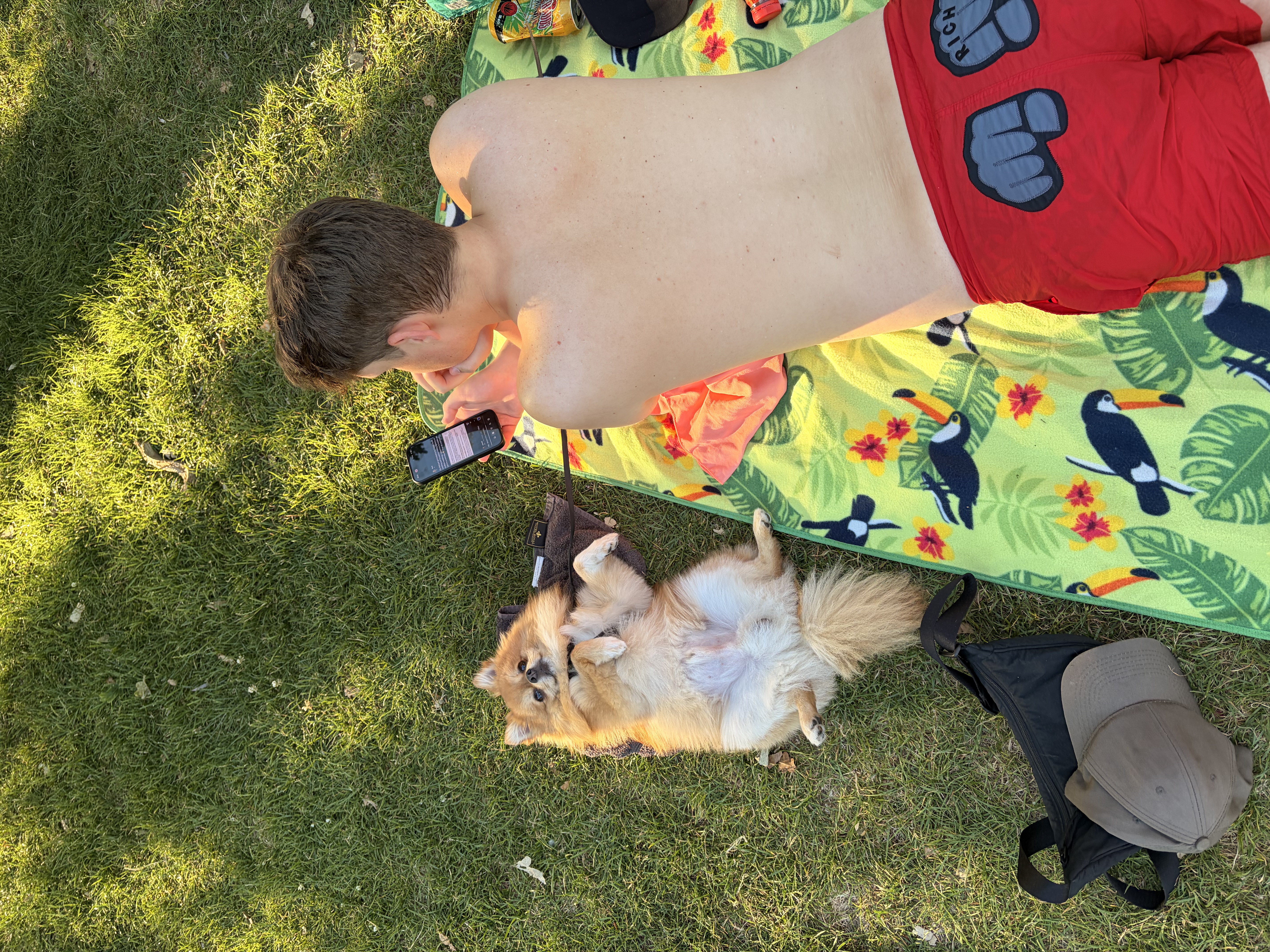 image-10