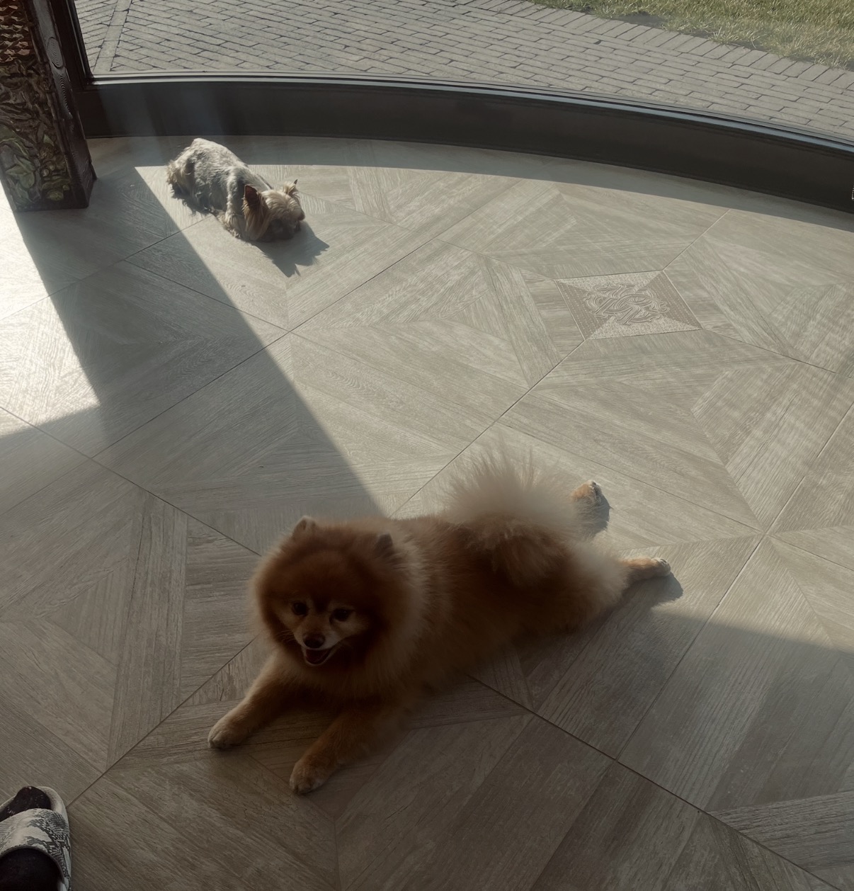 image-9