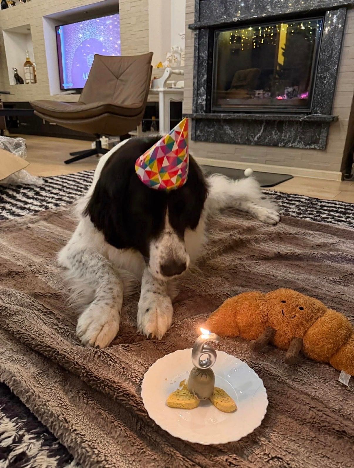image-8