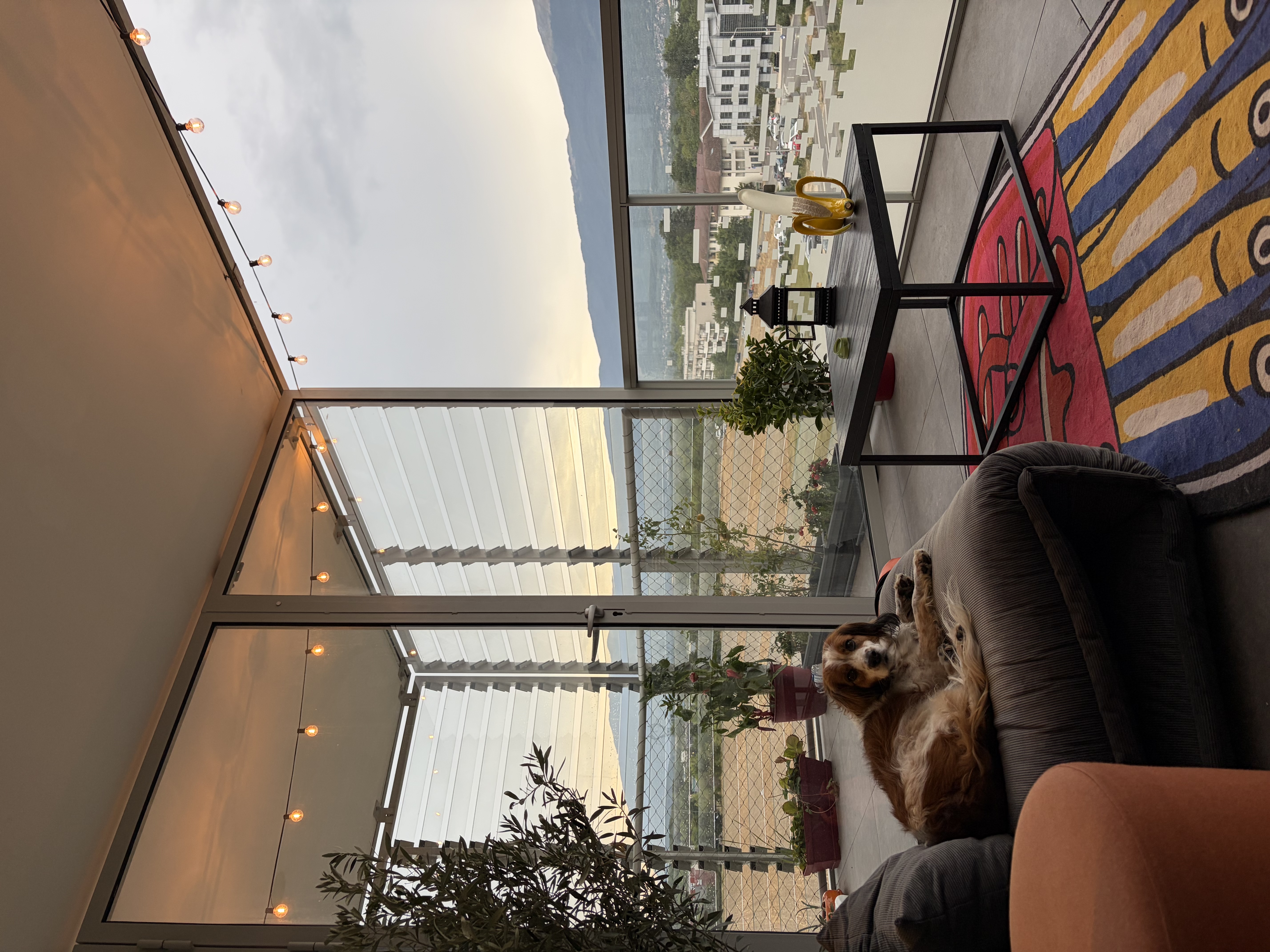 image-13