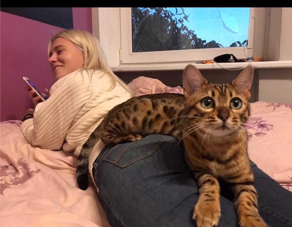image-2
