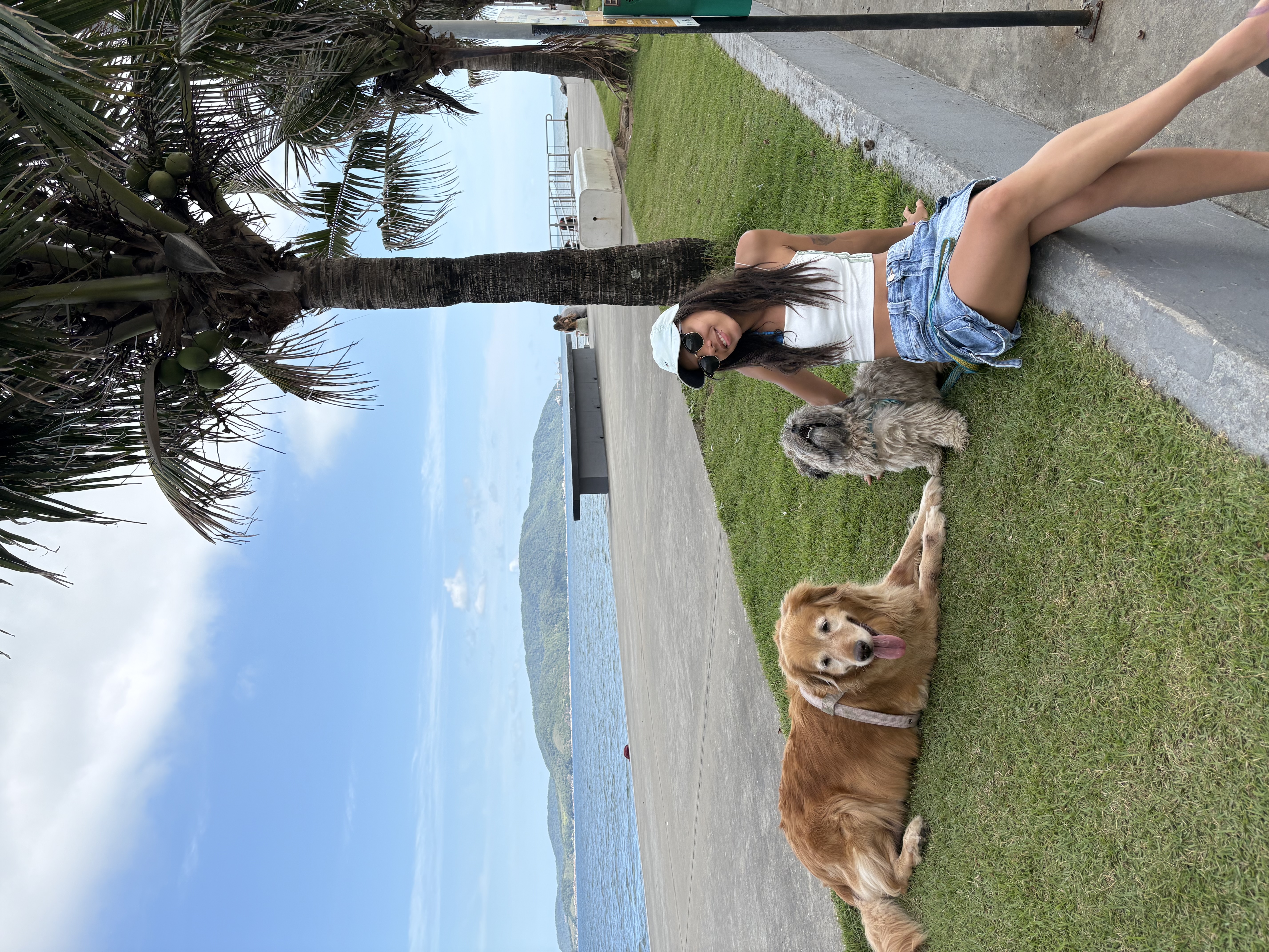 image-7
