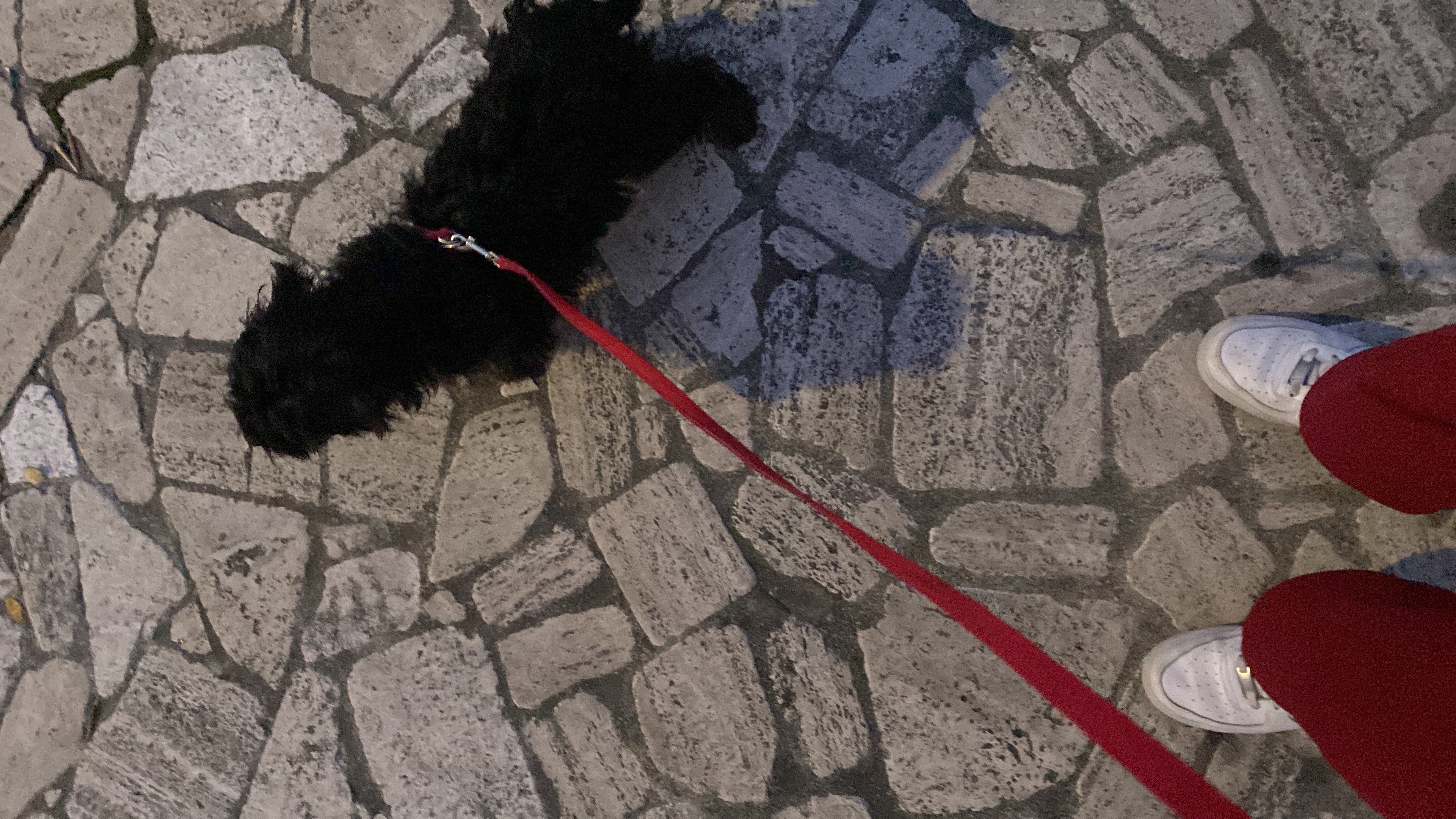 image-5