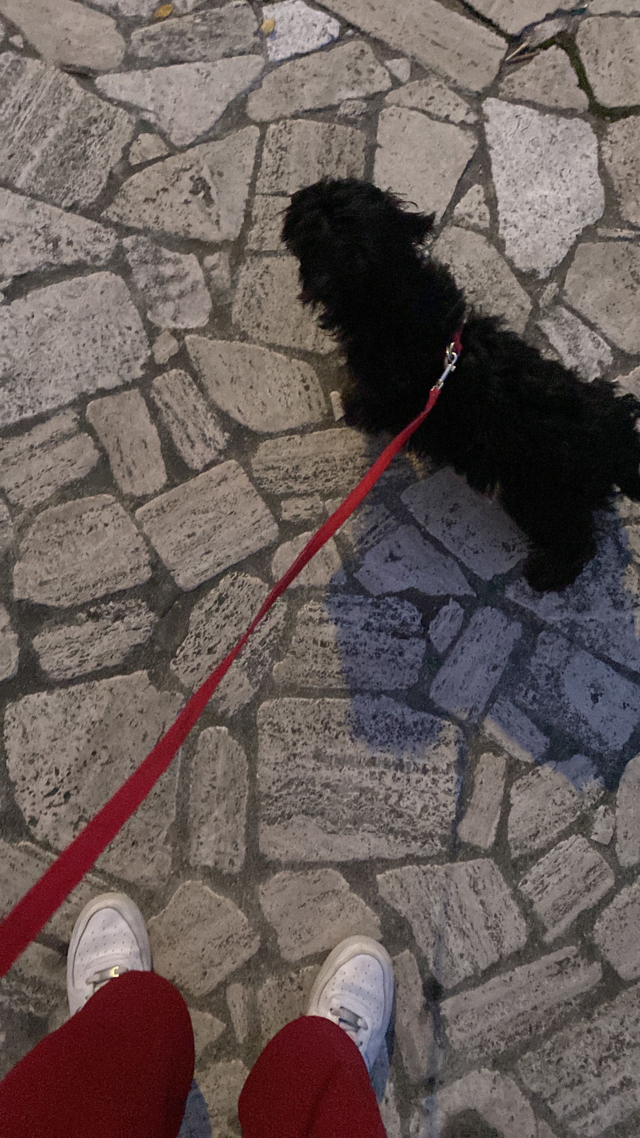 image-5