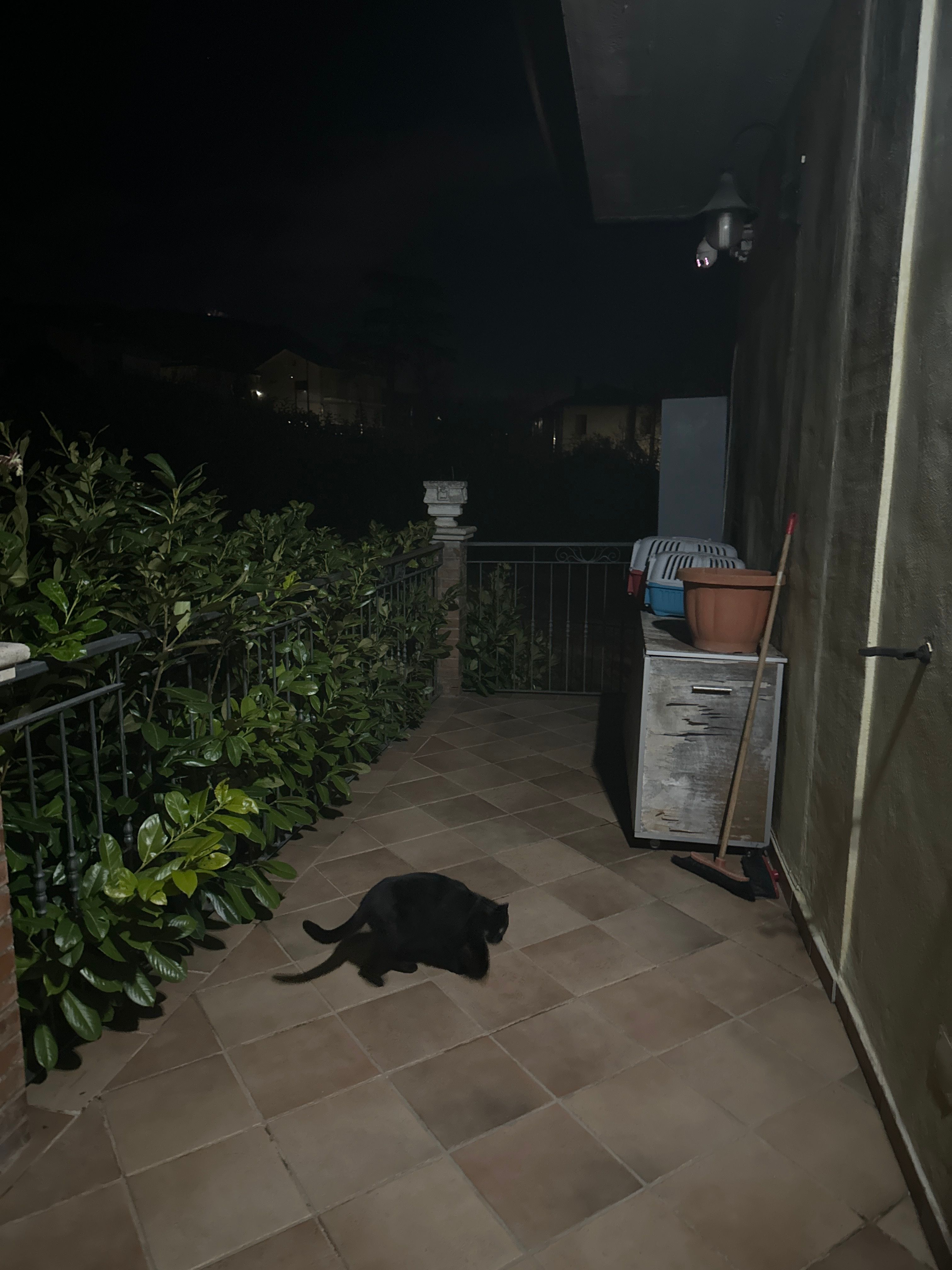 image-14
