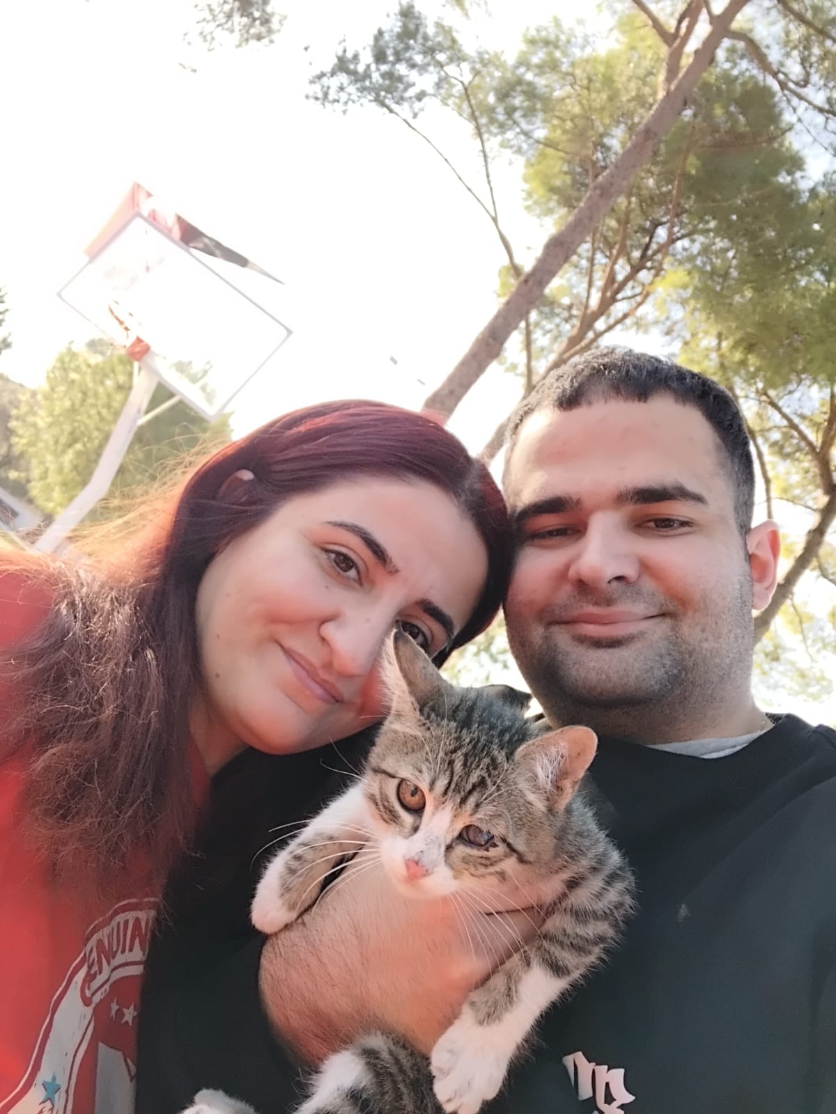 image-6